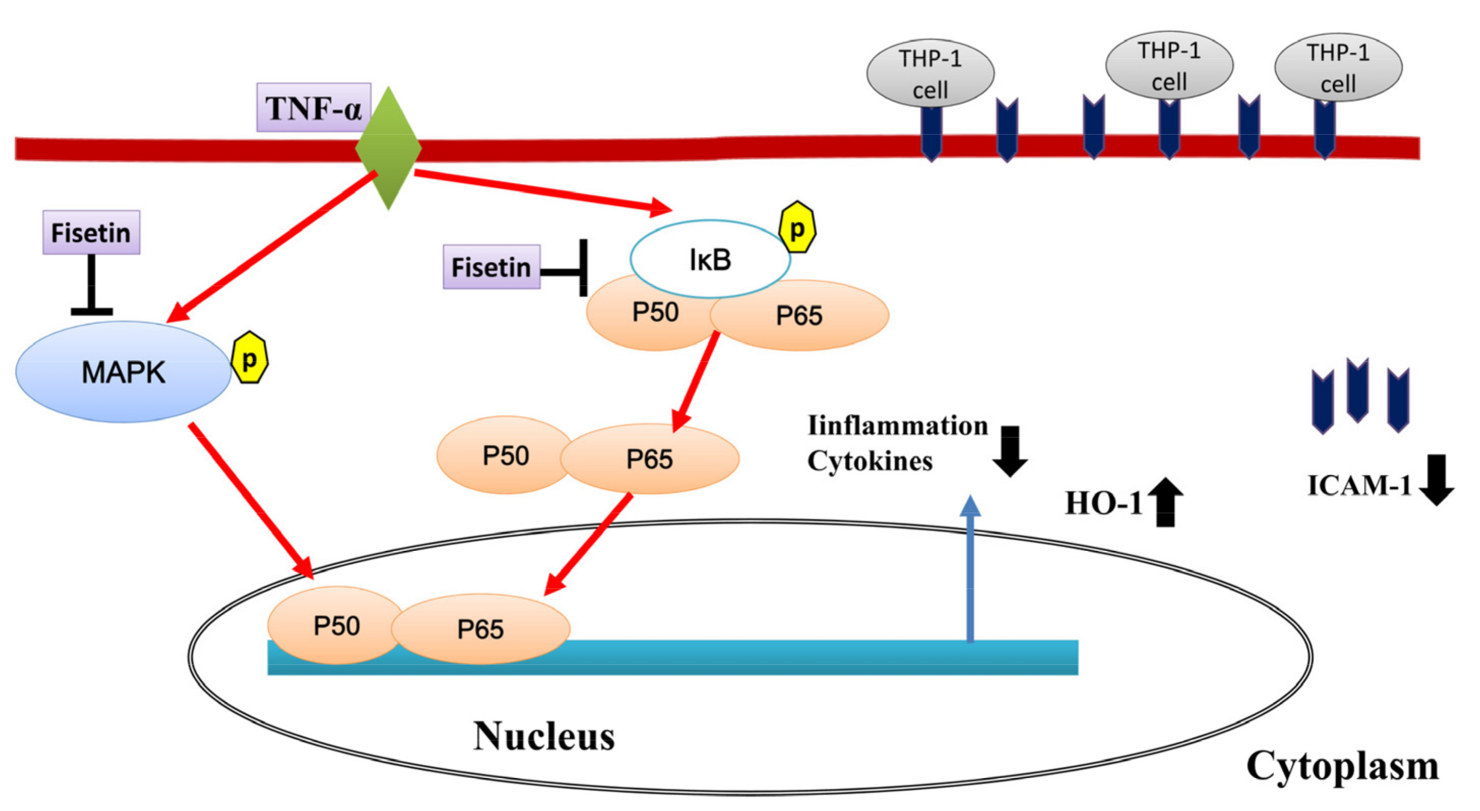 Nutrients 14 01841 g012 550