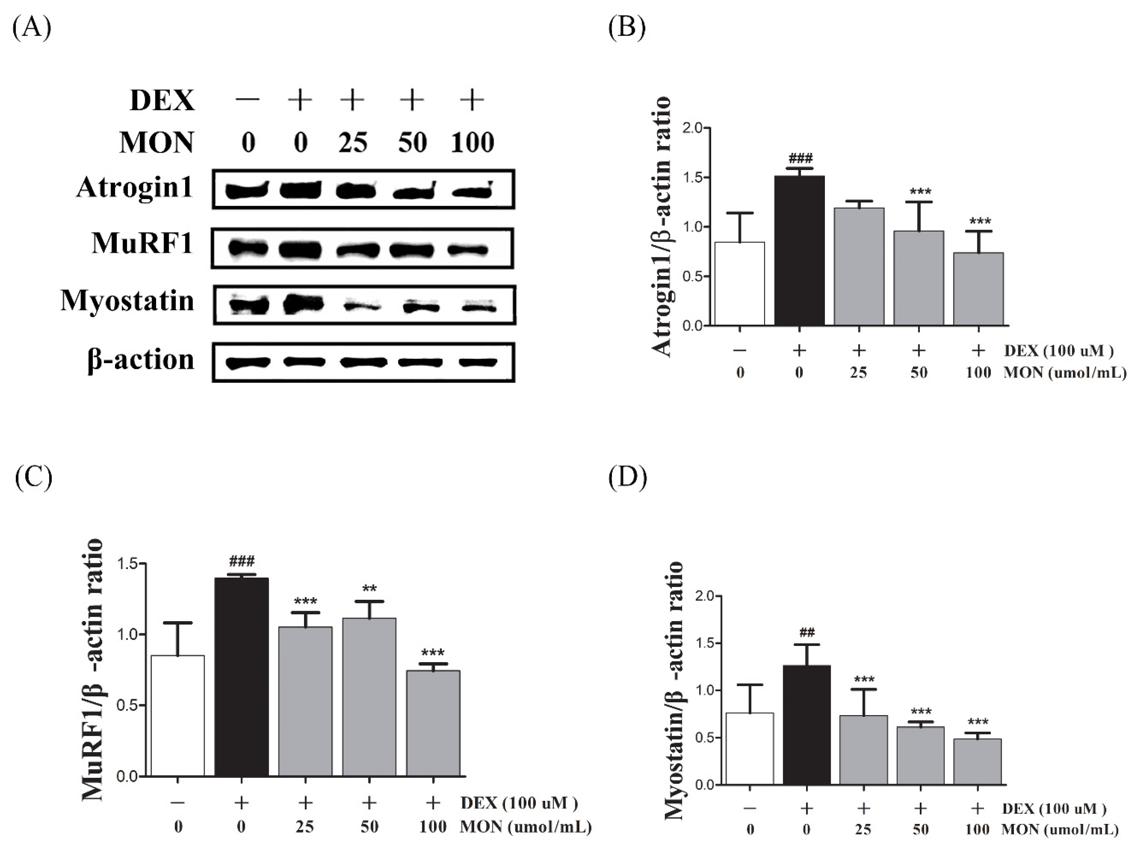 Nutrients 14 01859 g002