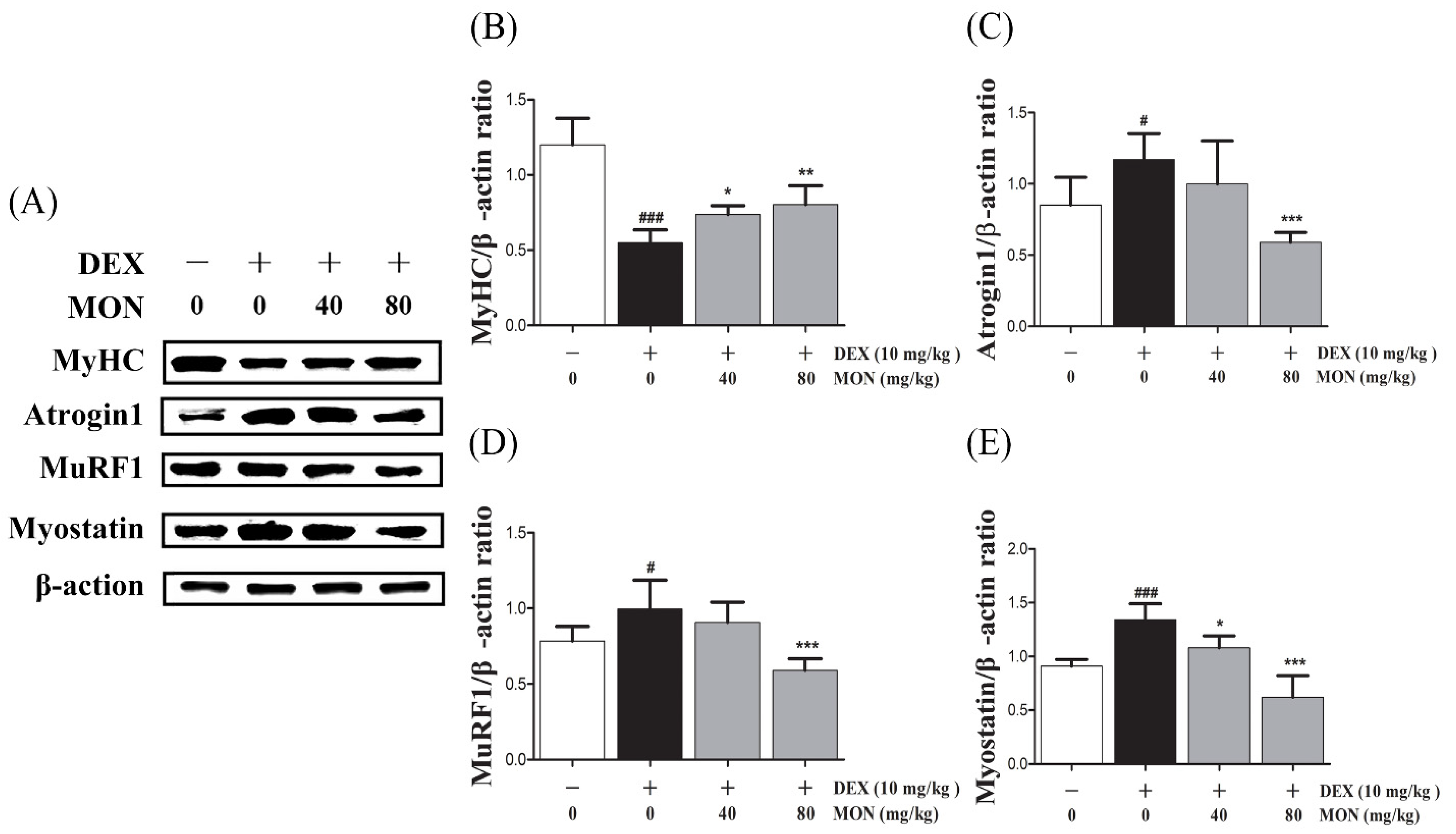 Nutrients 14 01859 g004