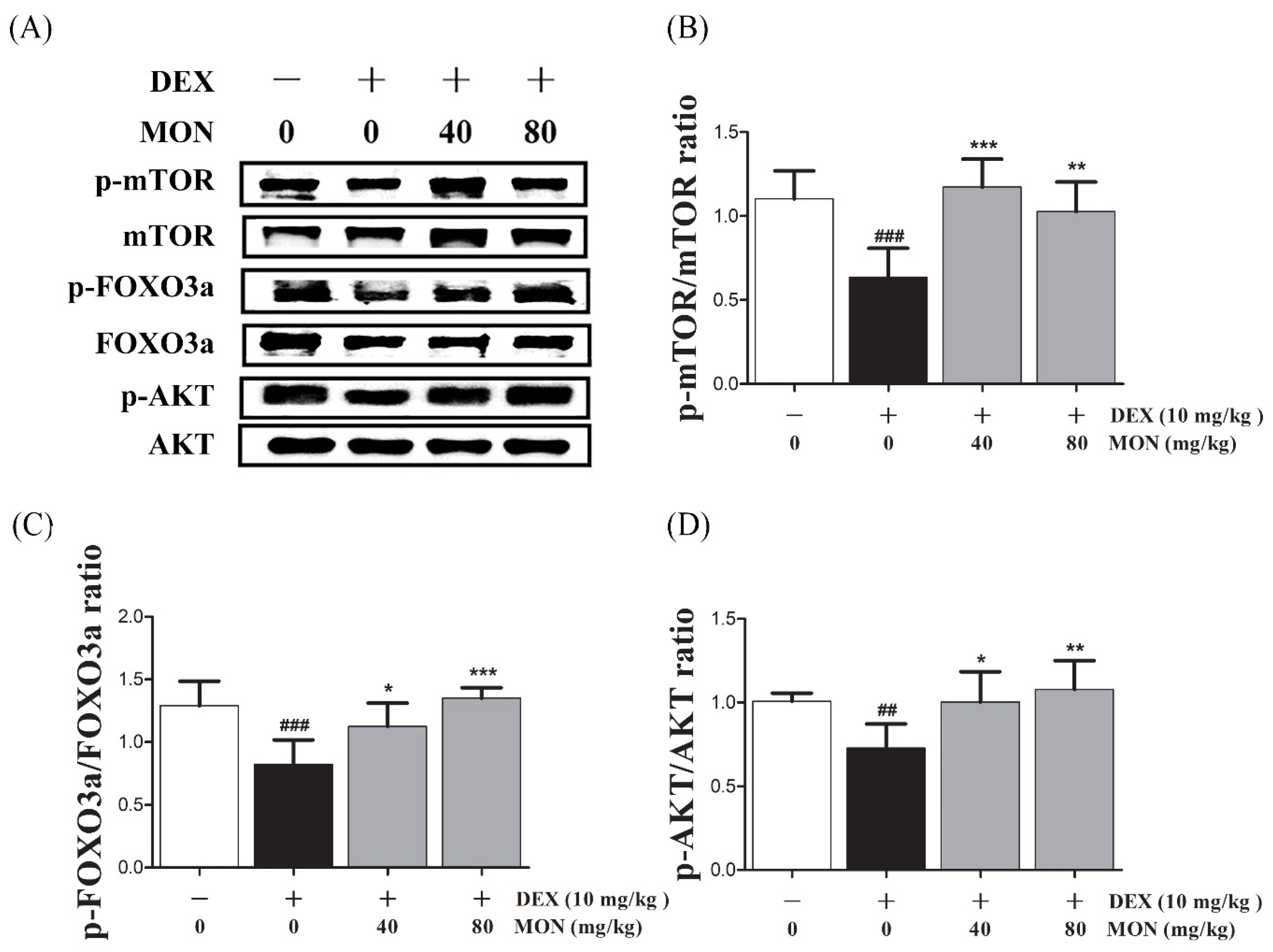 Nutrients 14 01859 g005
