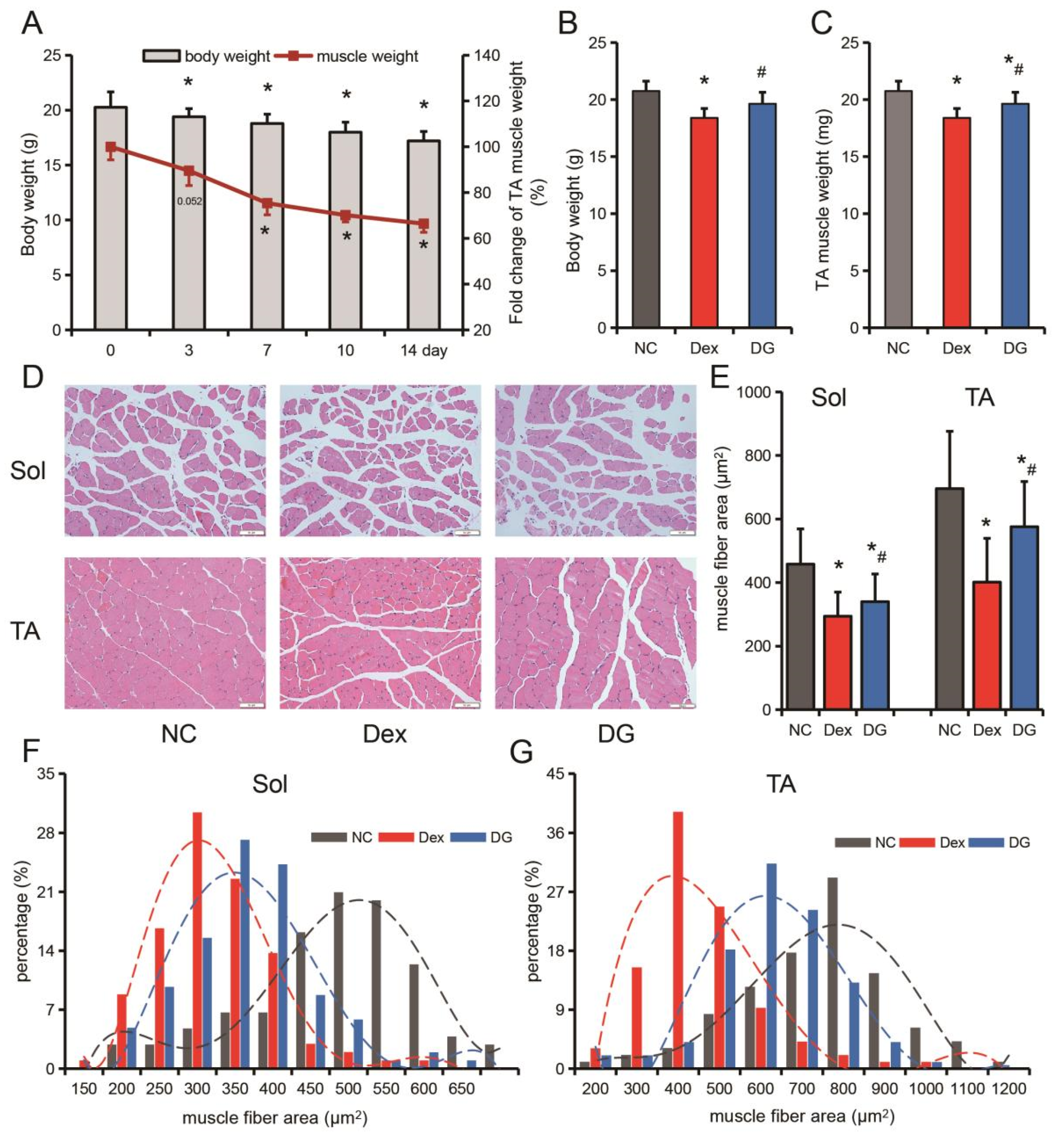 Muscle Diseases (神経学) miR-222 Is Involved in the Amelioration Effect of Genistein