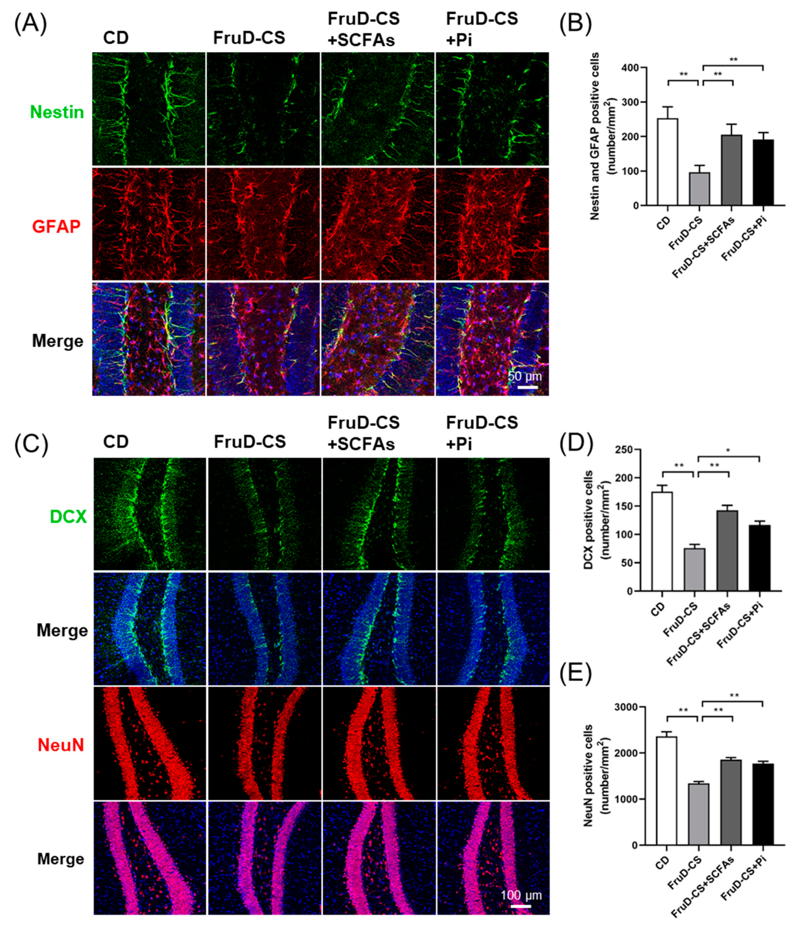 Nutrients 14 01882 g005