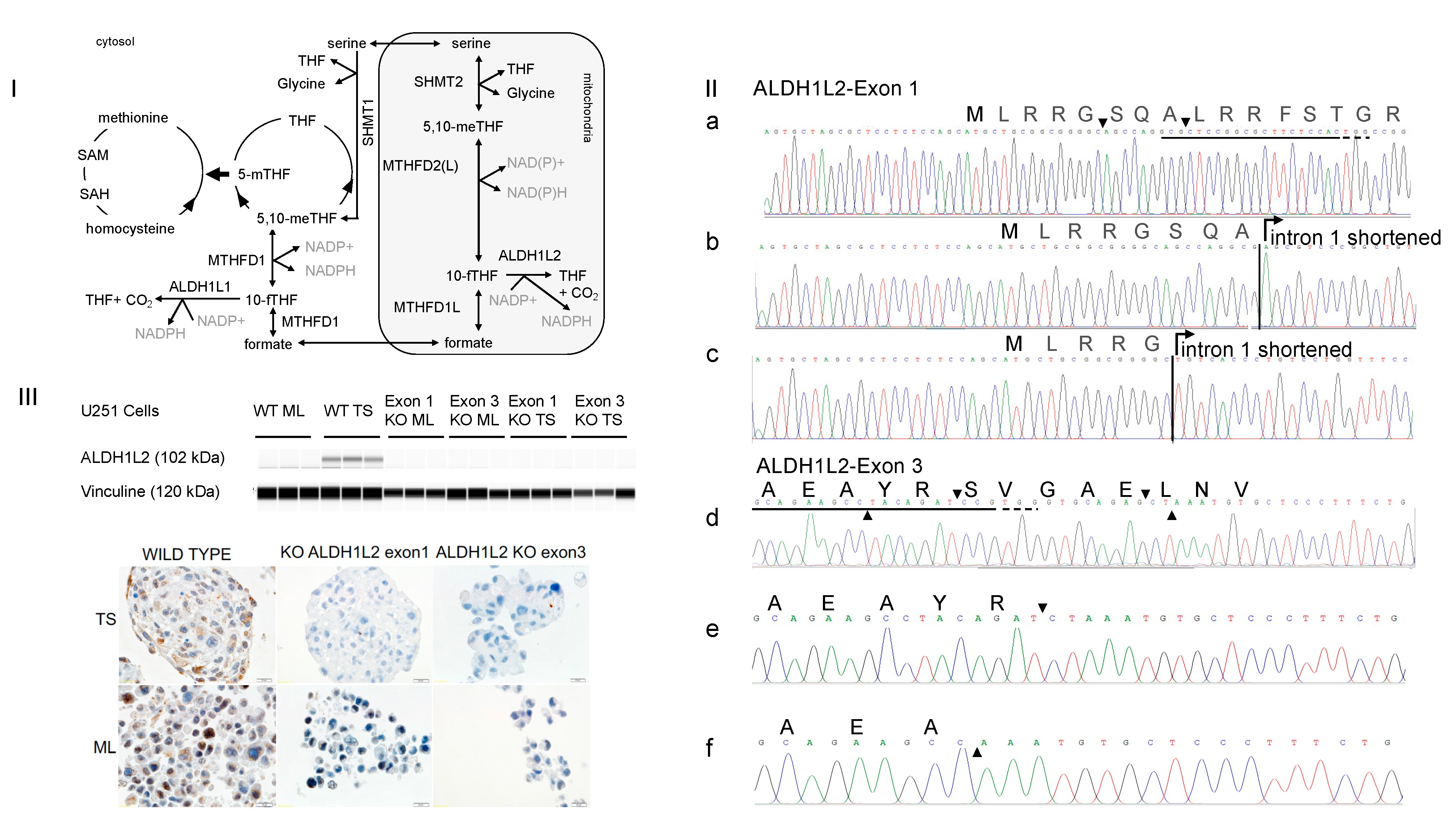Nutrients 14 01887 g001
