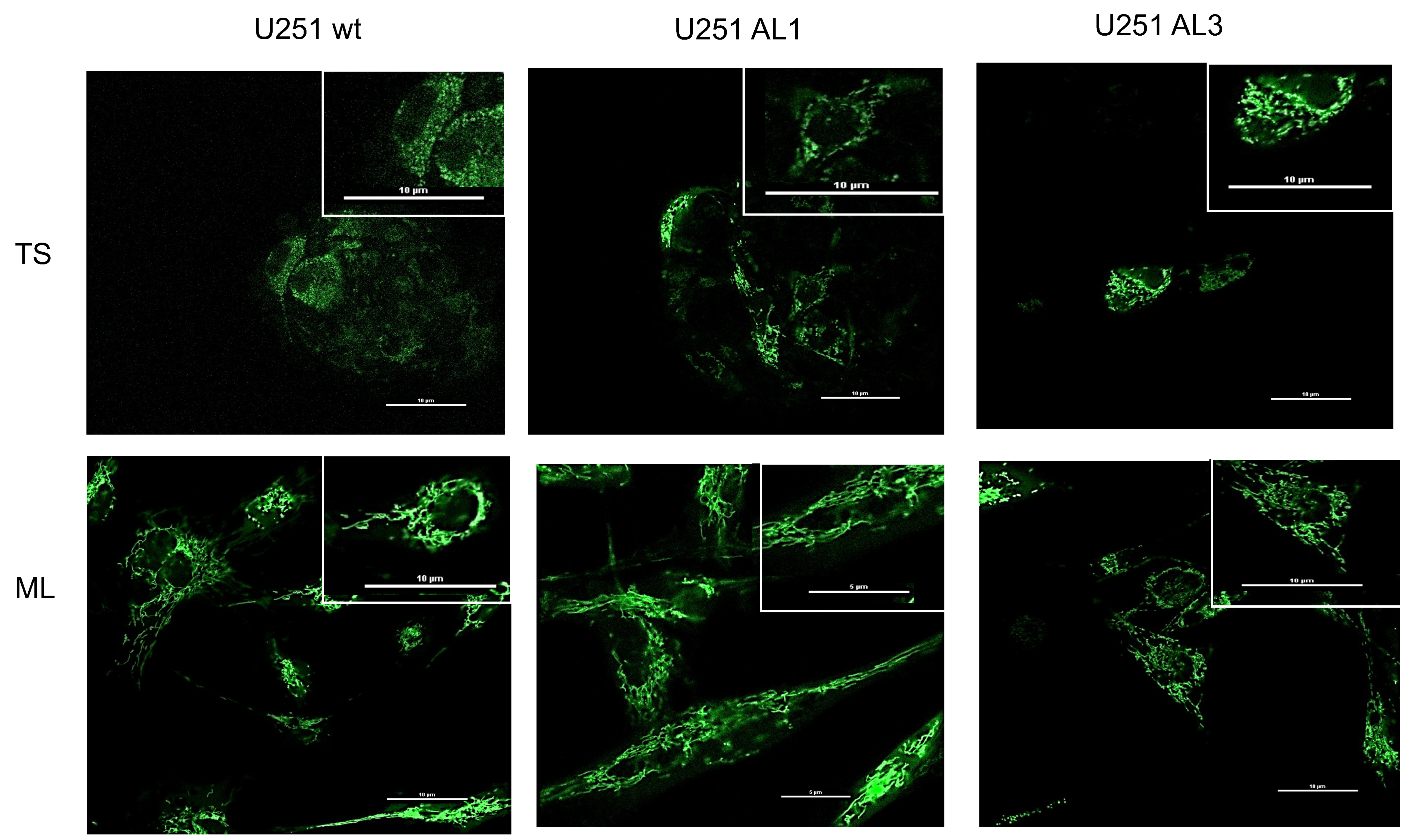 Nutrients 14 01887 g004