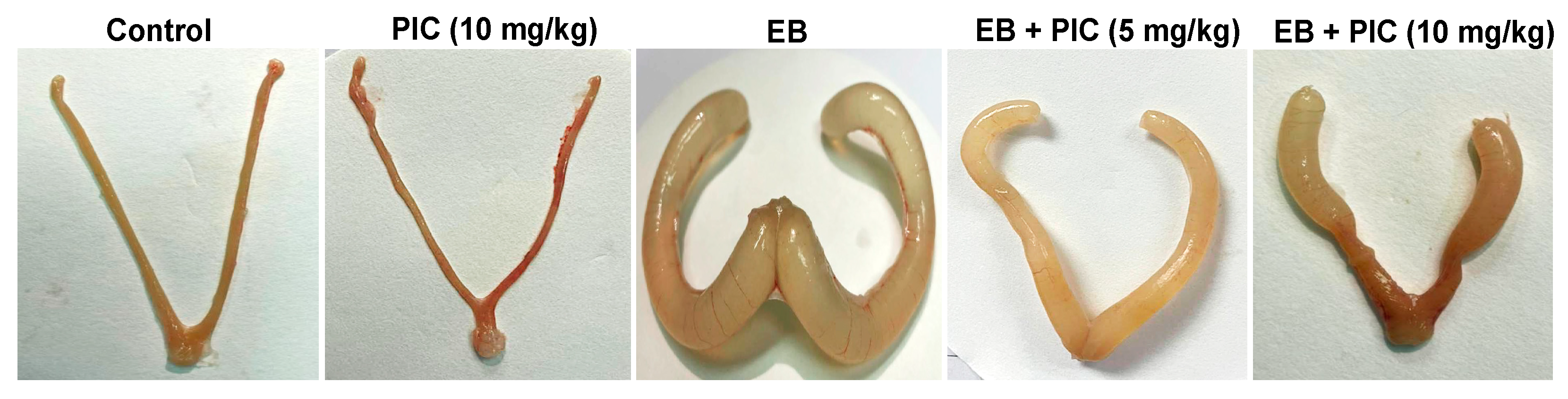 Nutrients 14 01891 g001