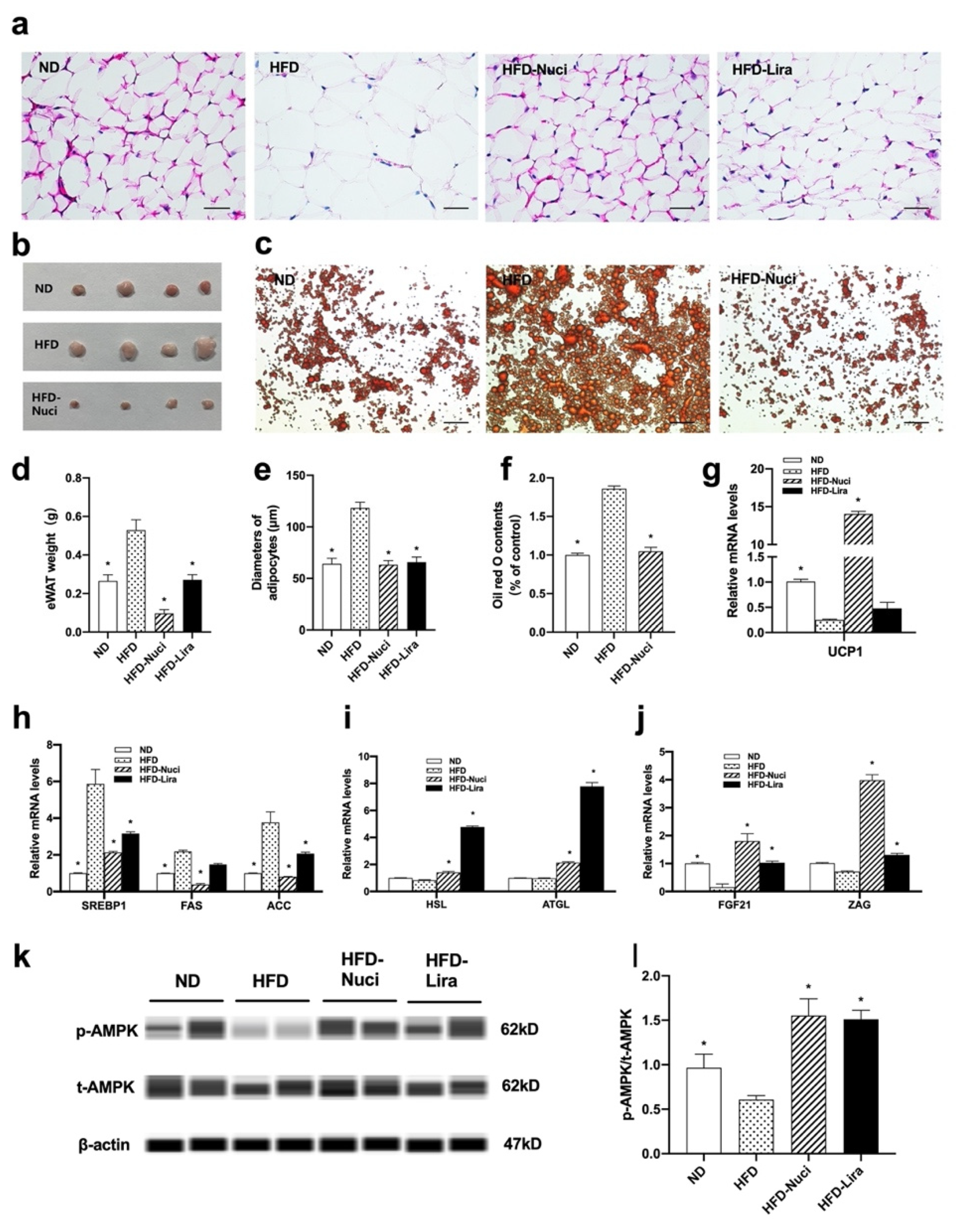 Nutrients 14 01898 g007 550