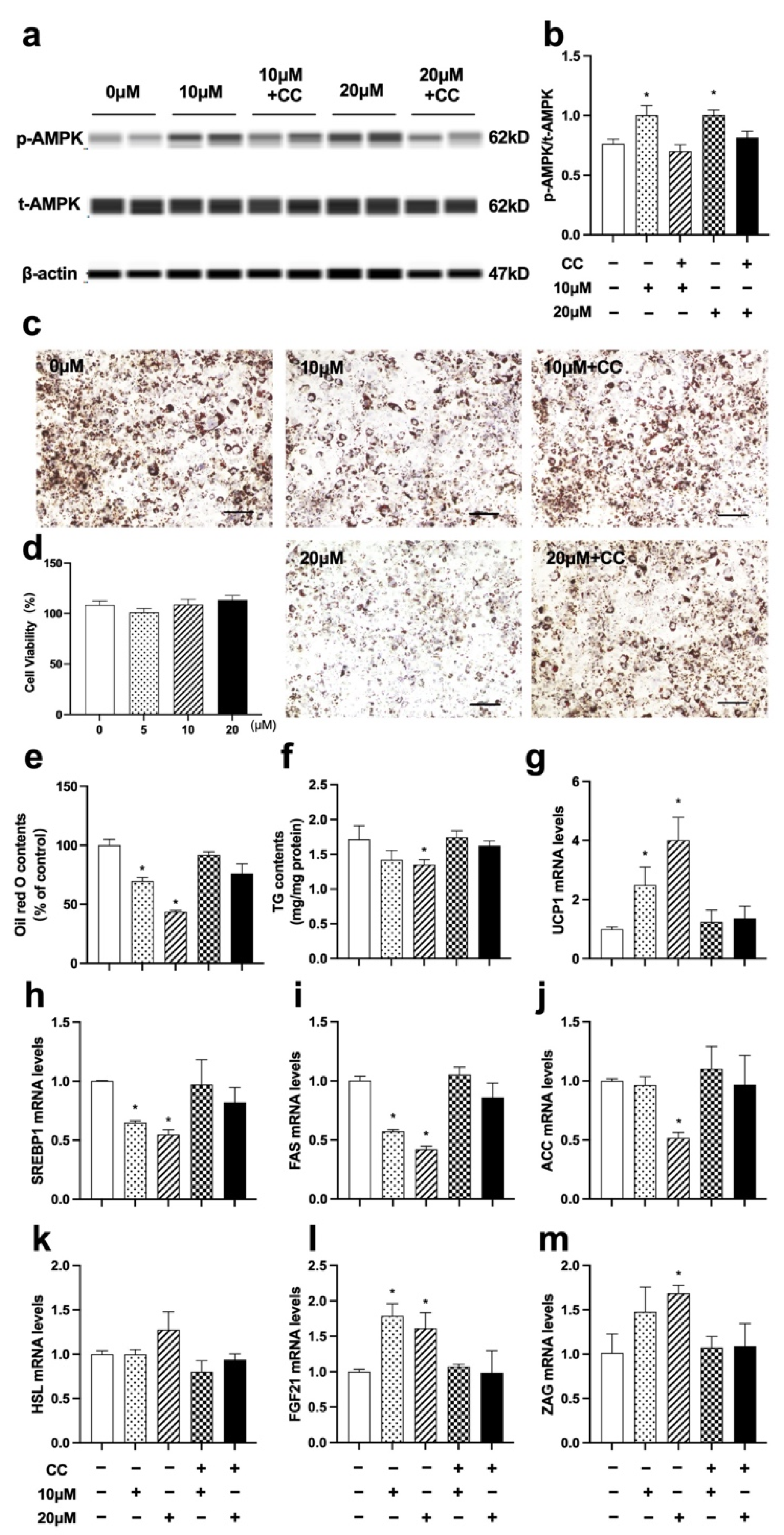Nutrients 14 01898 g008 550