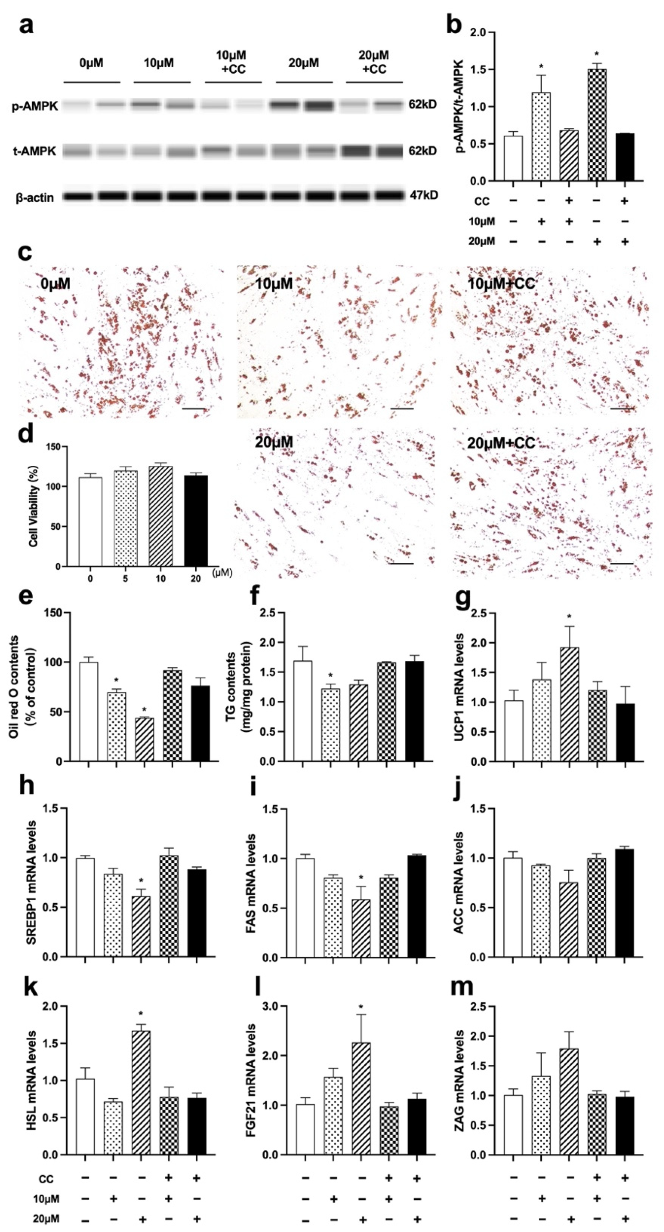 Nutrients 14 01898 g009 550