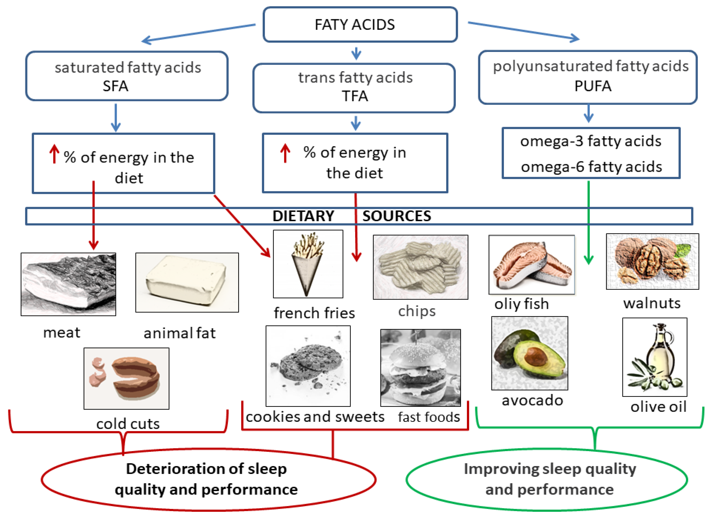 Nutrients 14 01912 g002 Nutrients 14 01912 g002