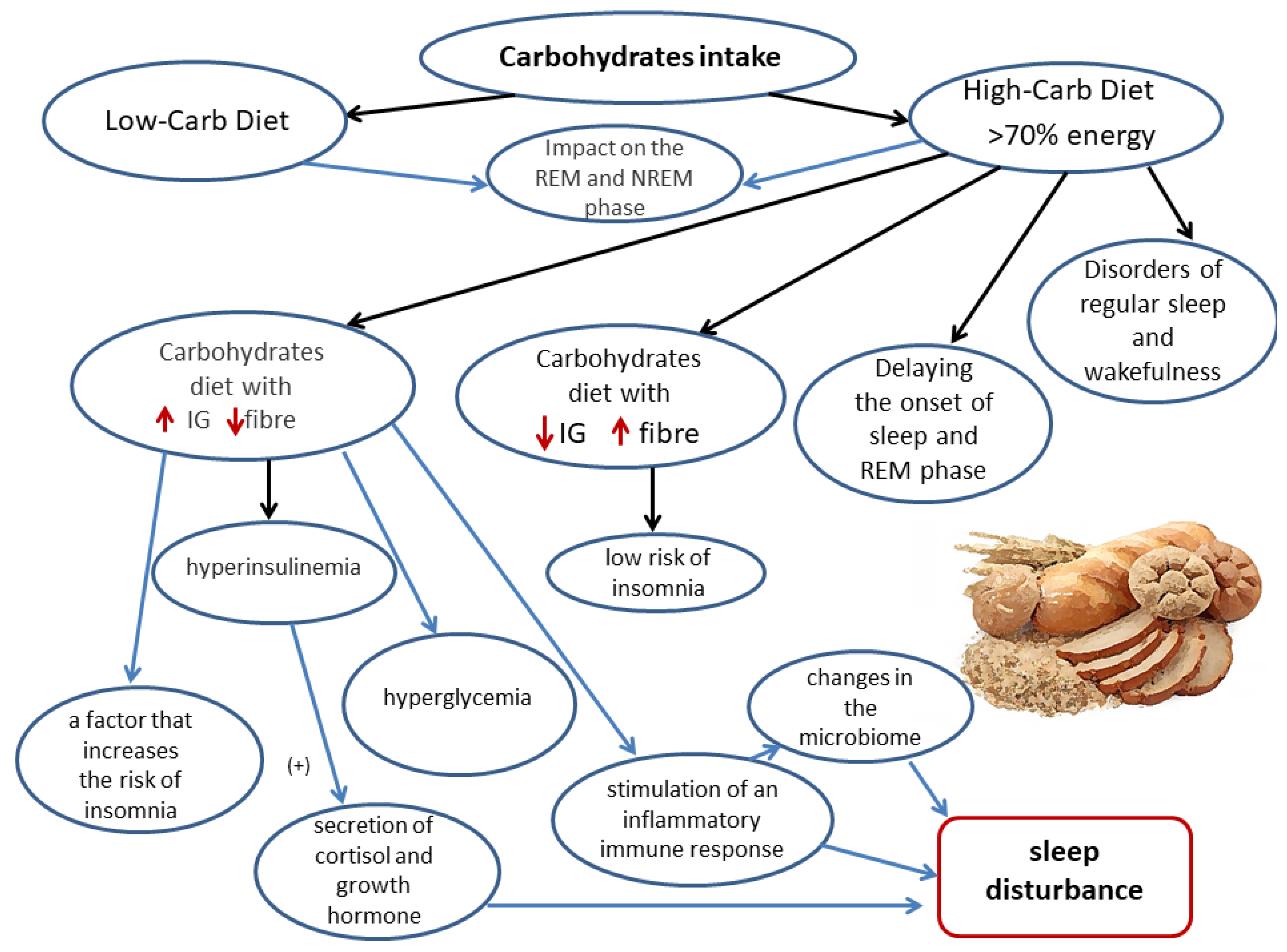 Nutrients 14 01912 g004 Nutrients 14 01912 g004