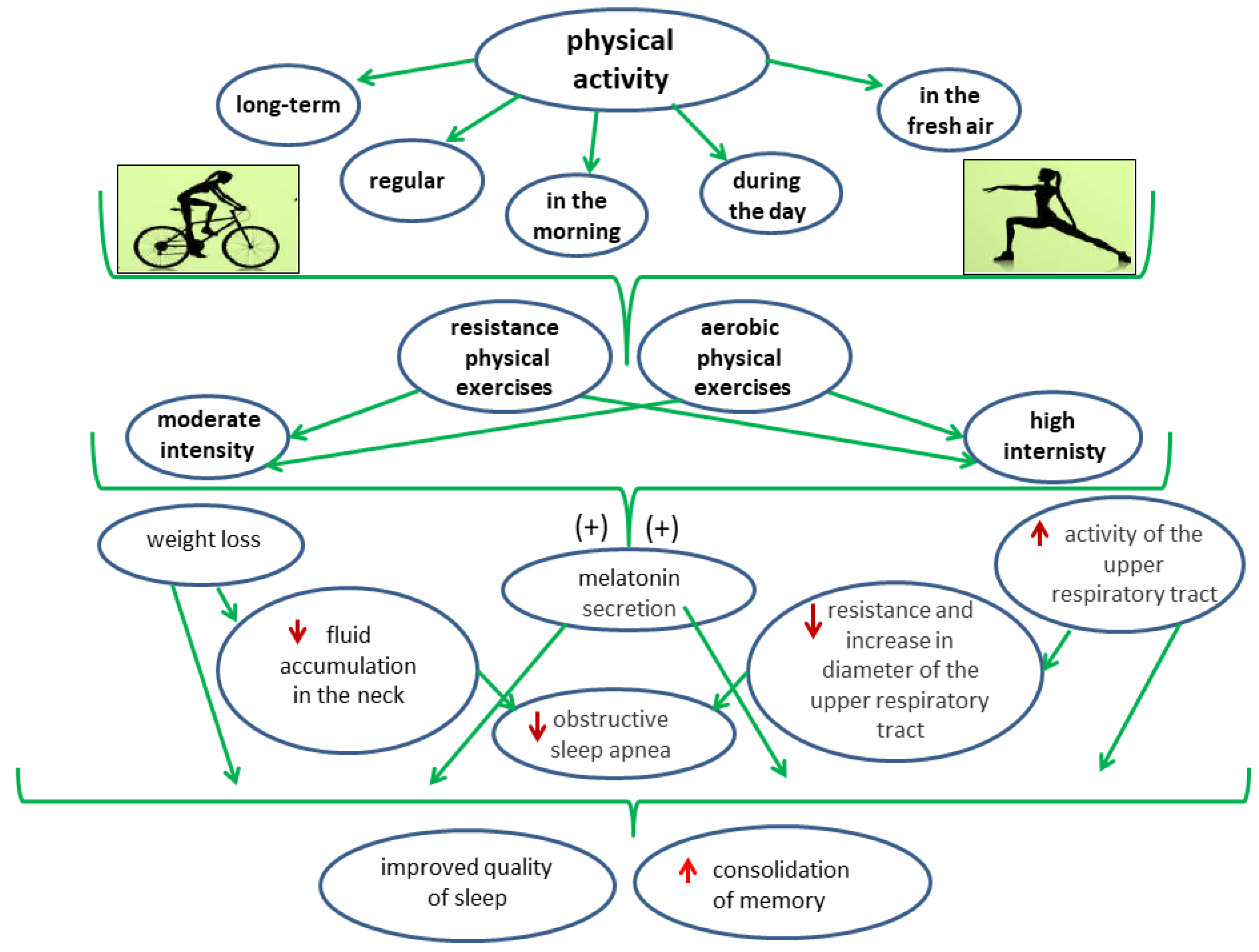 Nutrients 14 01912 g006 Nutrients 14 01912 g006