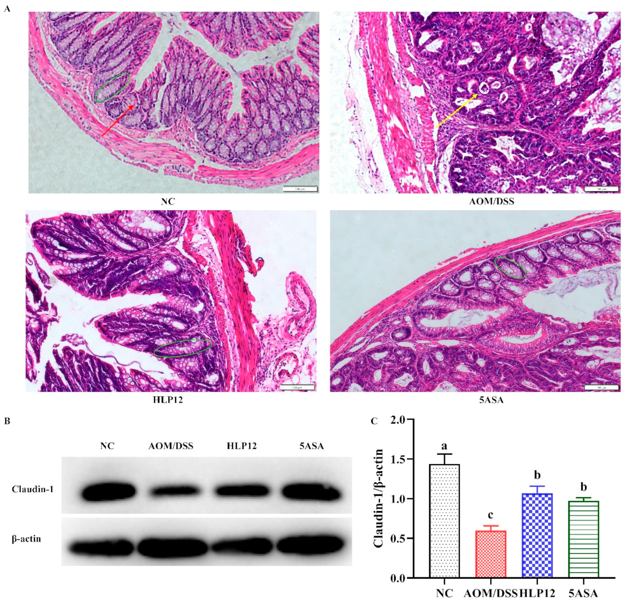 Nutrients 14 01916 g004 550