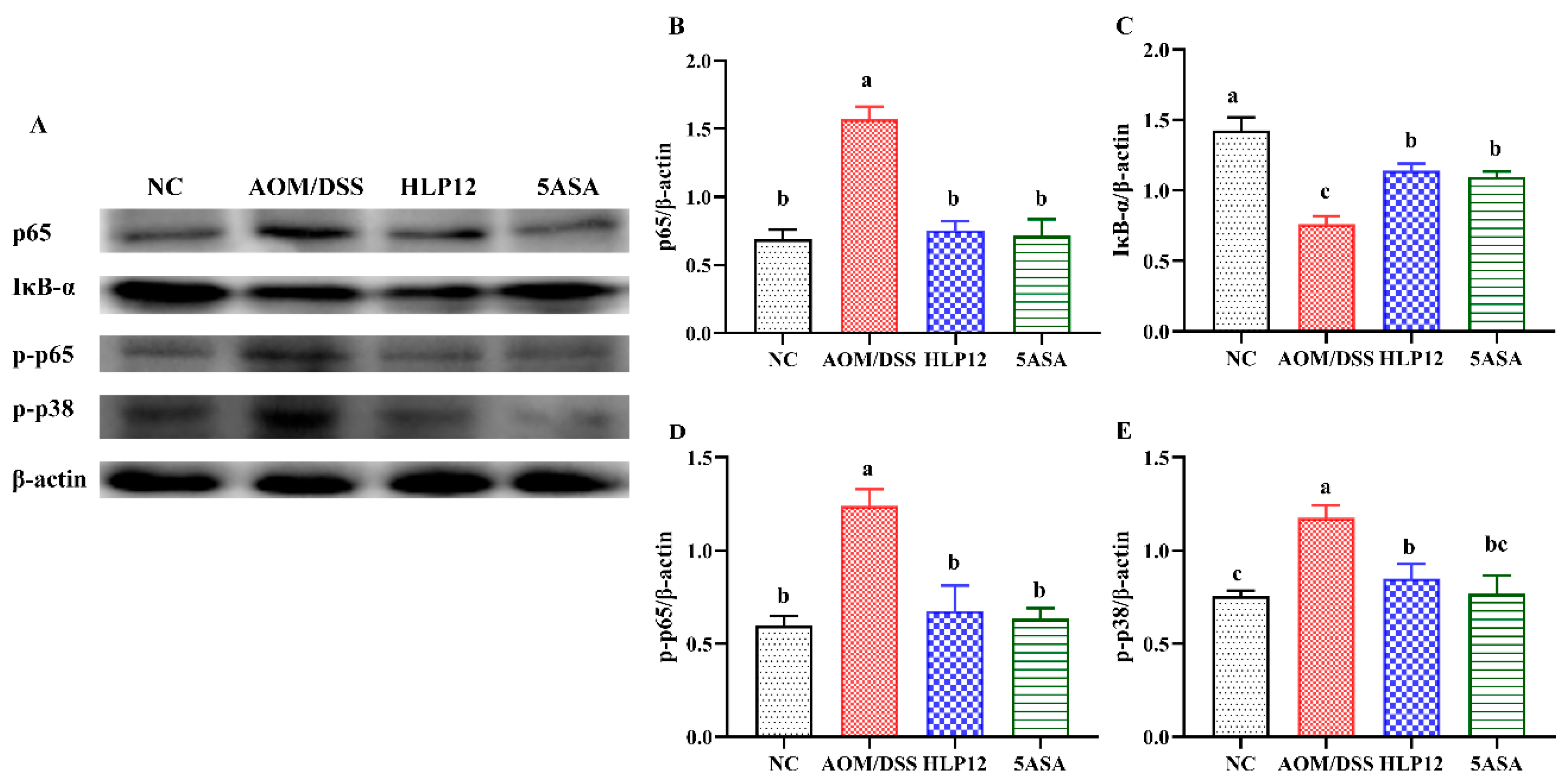 Nutrients 14 01916 g005 550