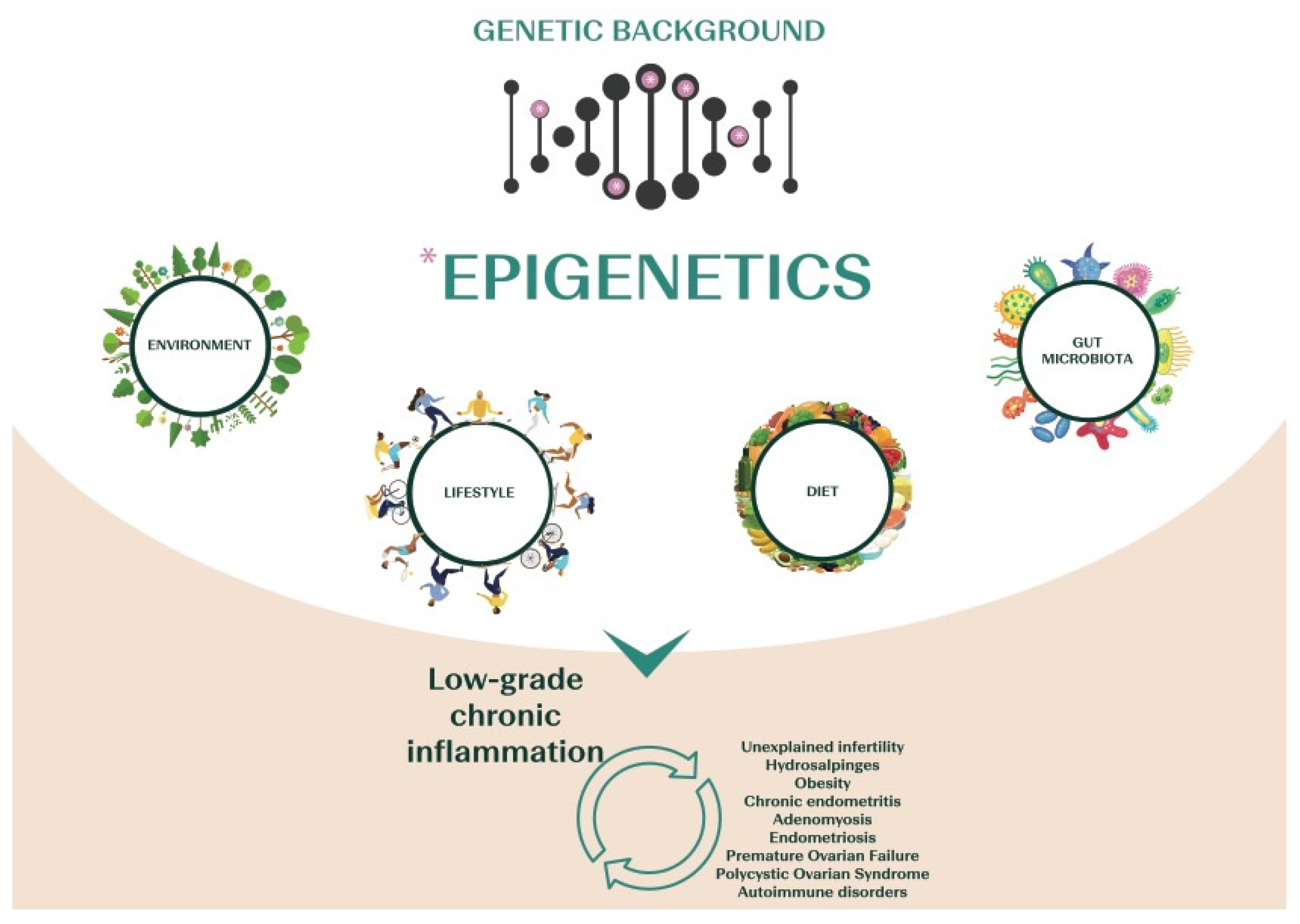 Frontiers  Nutrient synergy: definition, evidence, and future directions