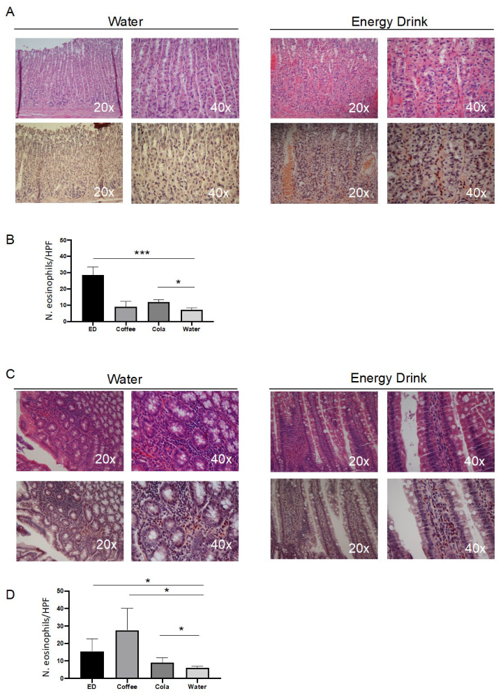 Nutrients 14 01928 g001 Nutrients 14 01928 g001