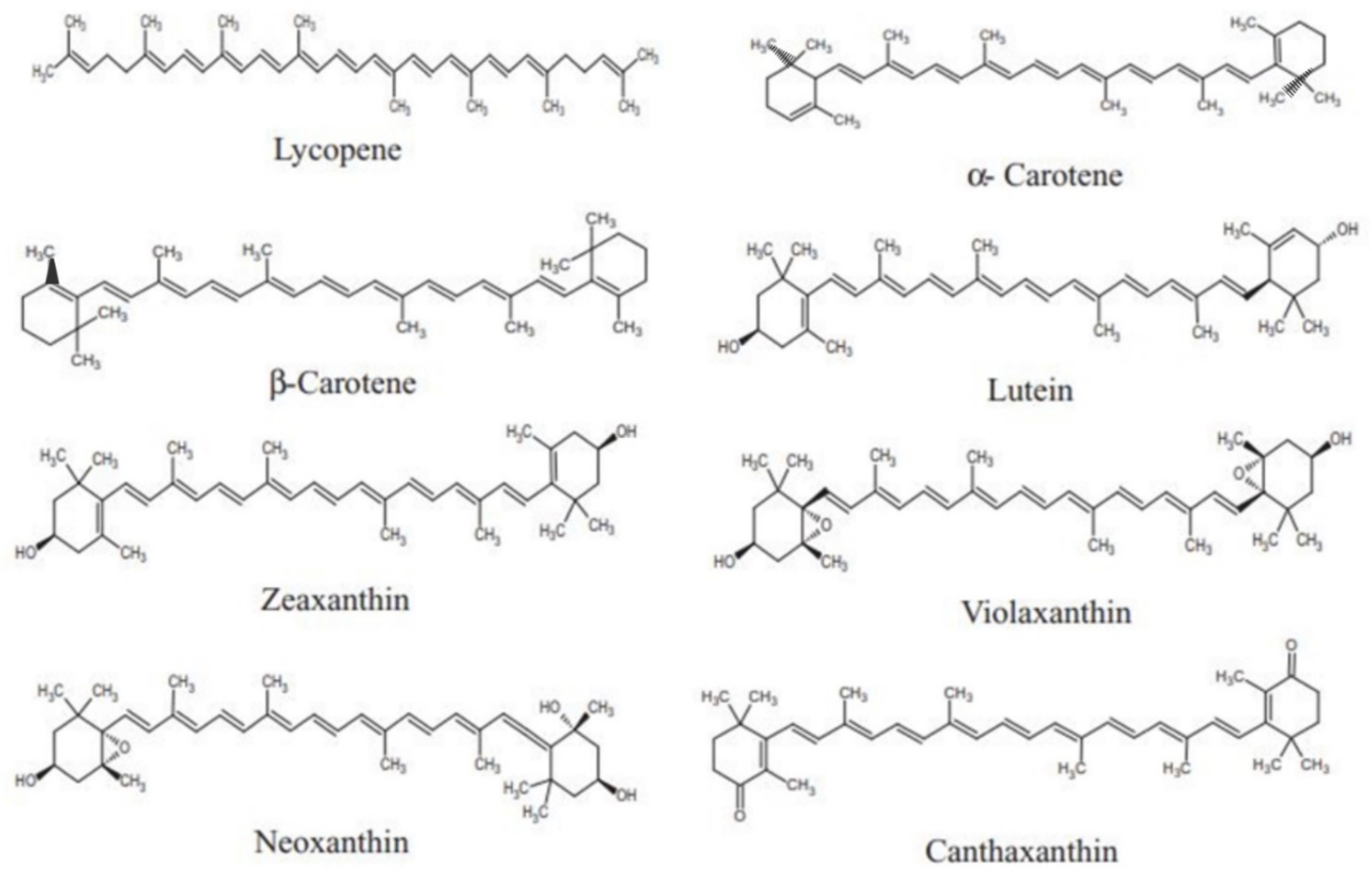 Nutrients 14 01949 g002