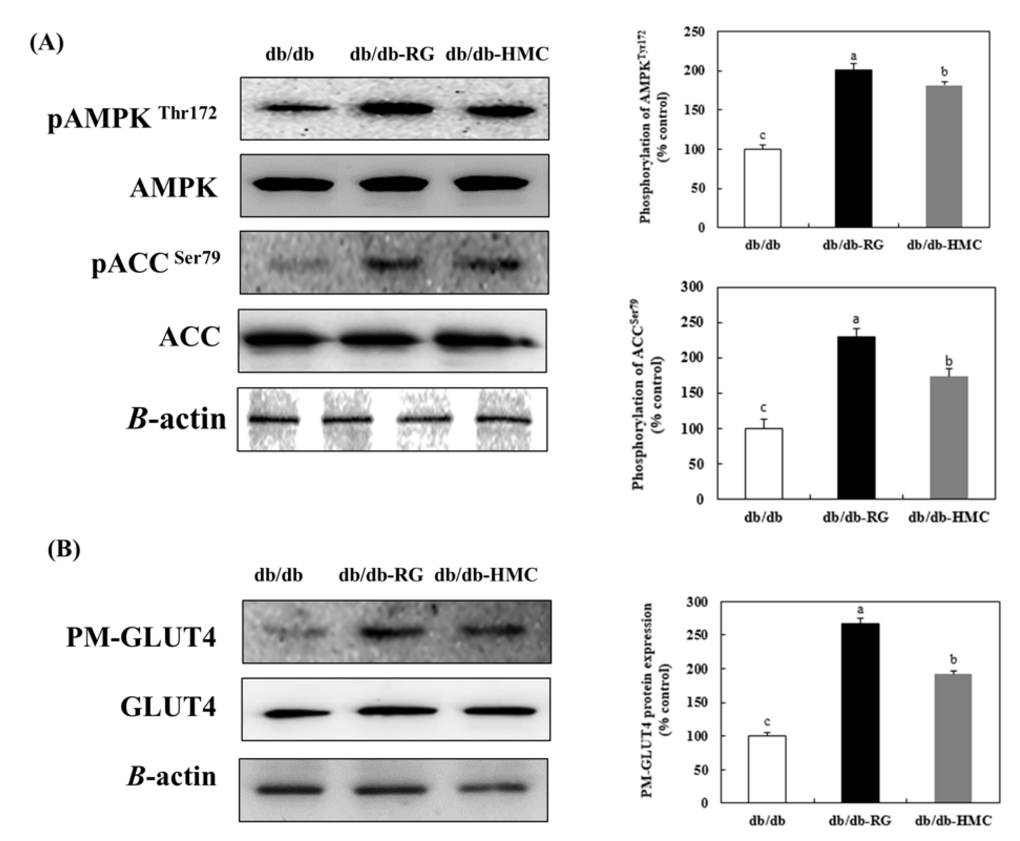 Nutrients 14 01951 g006