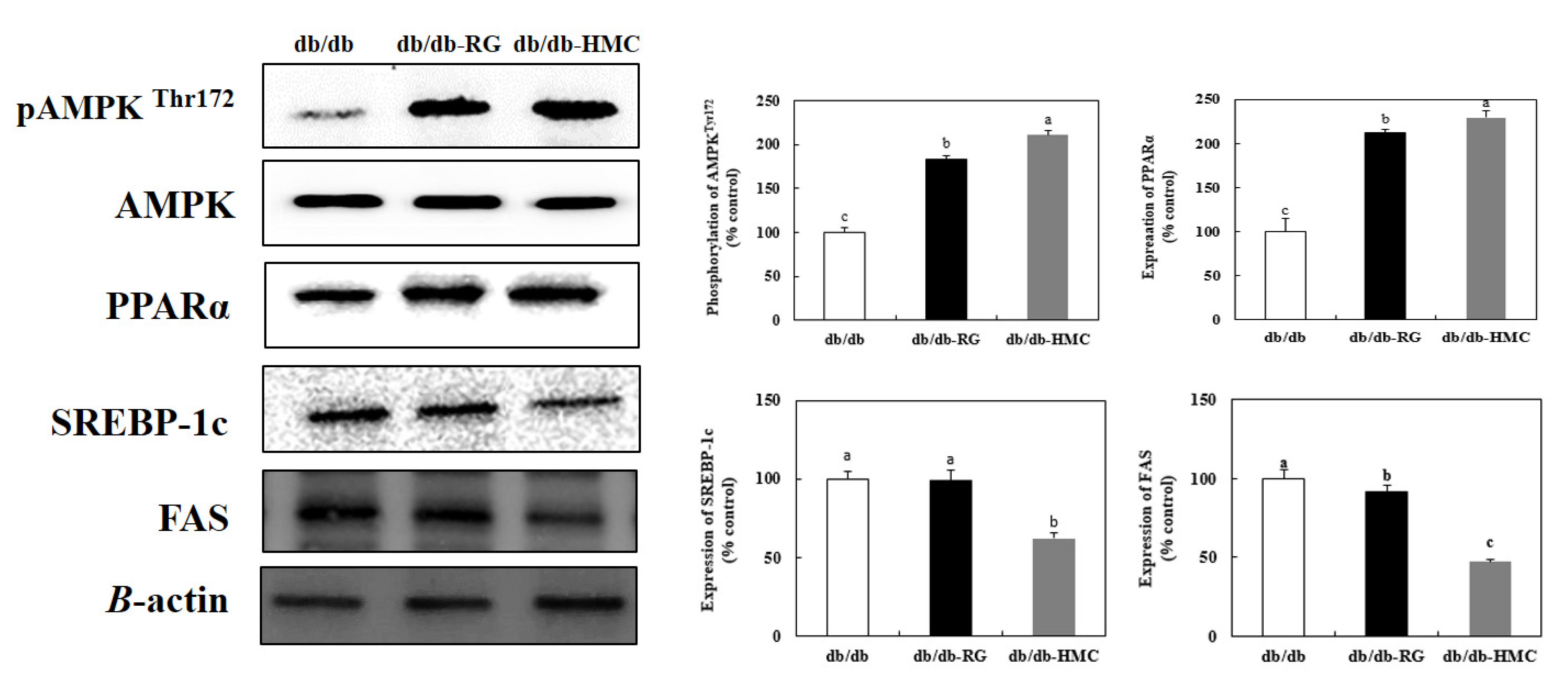 Nutrients 14 01951 g007