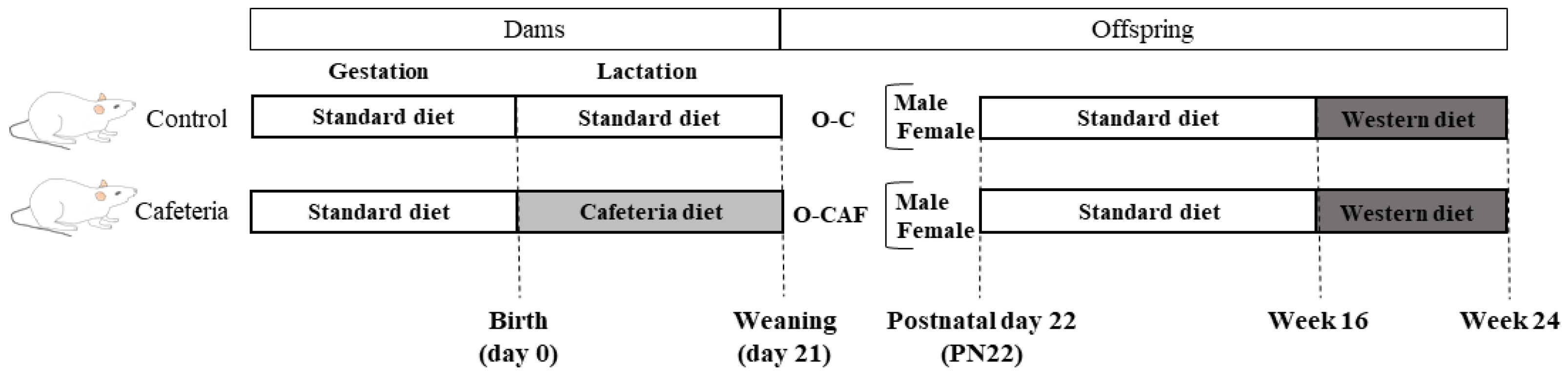 Nutrients 14 01958 g001