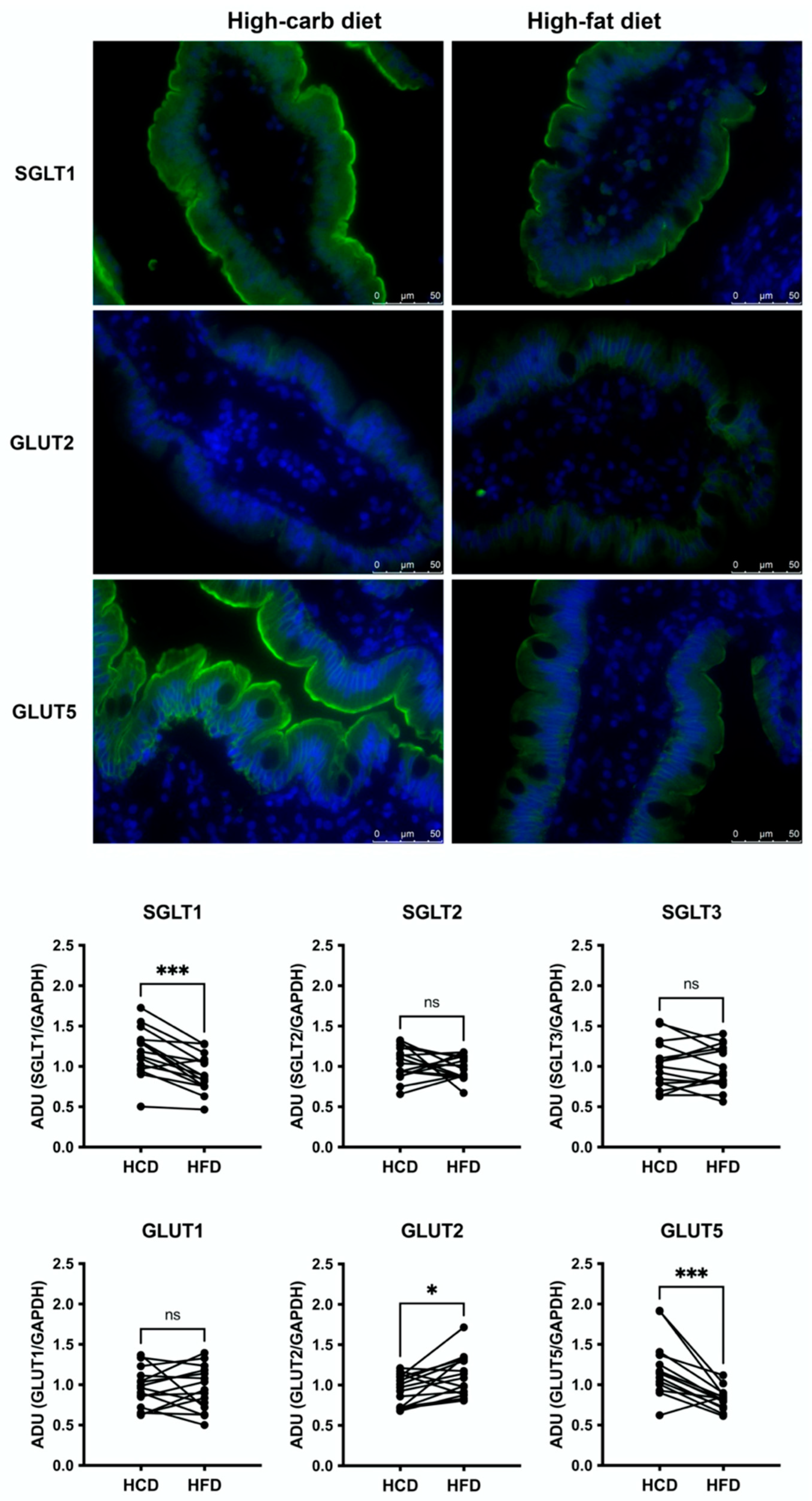 Nutrients 14 01961 g001