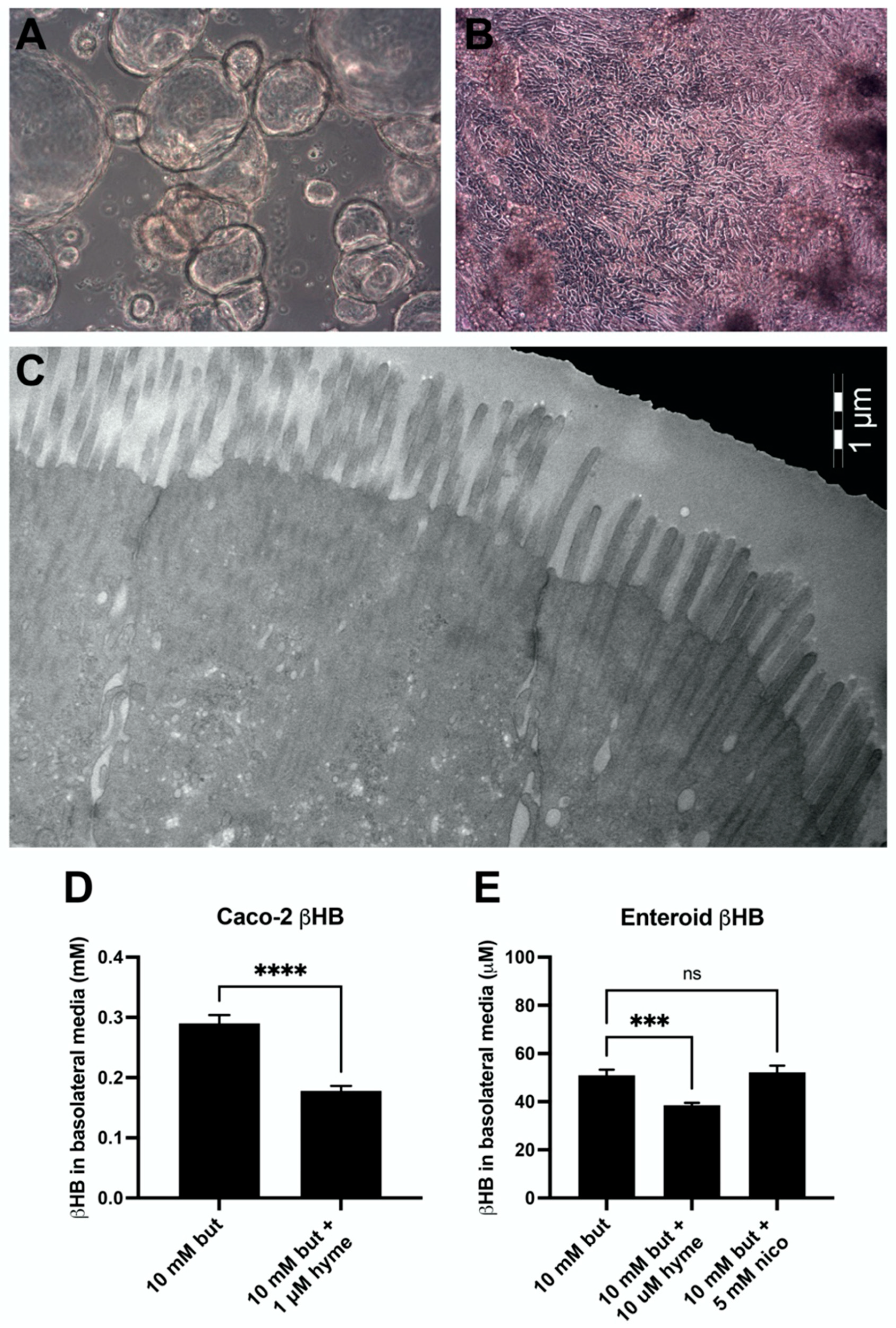 Nutrients 14 01961 g004