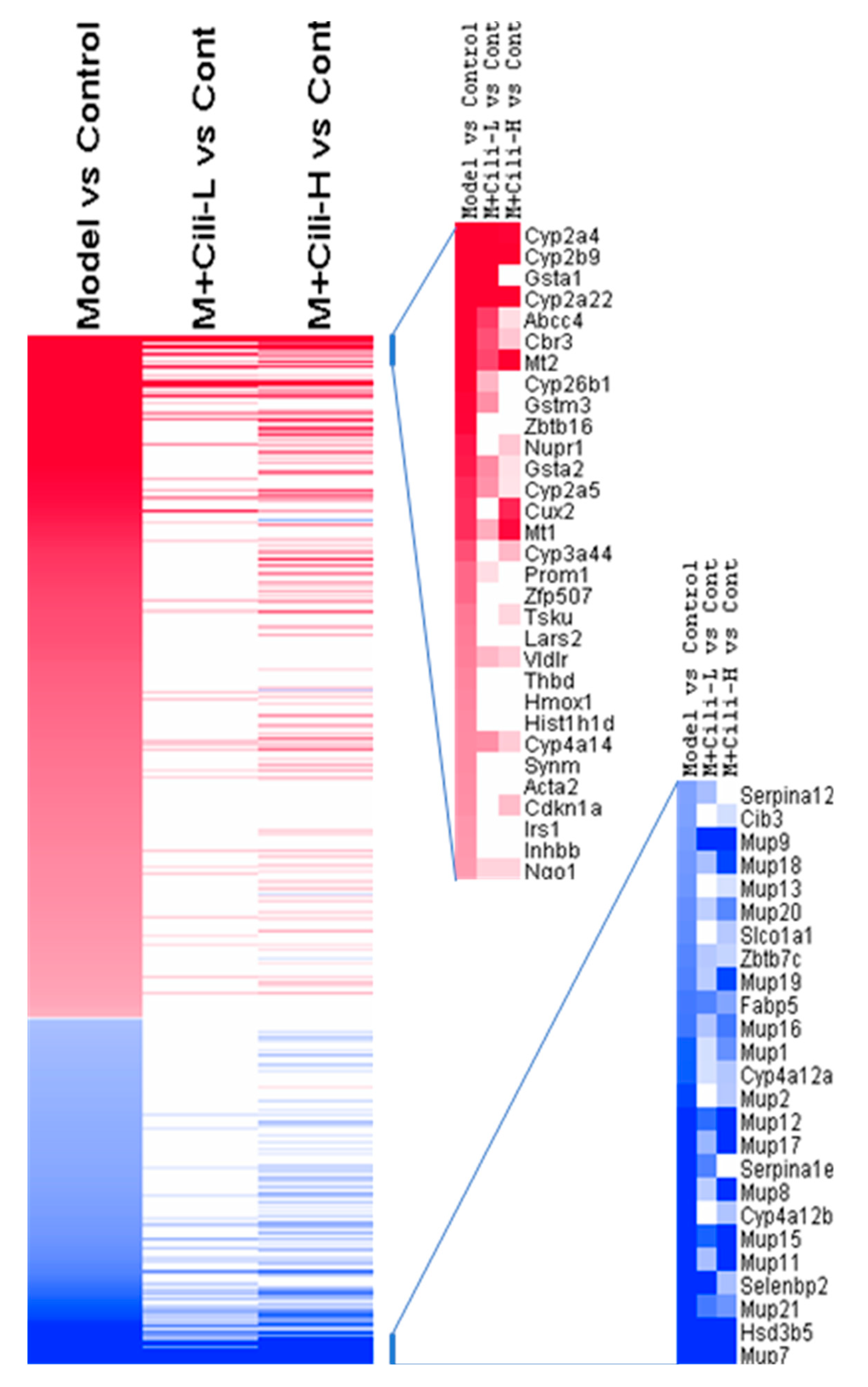 Nutrients 14 01974 g006 550