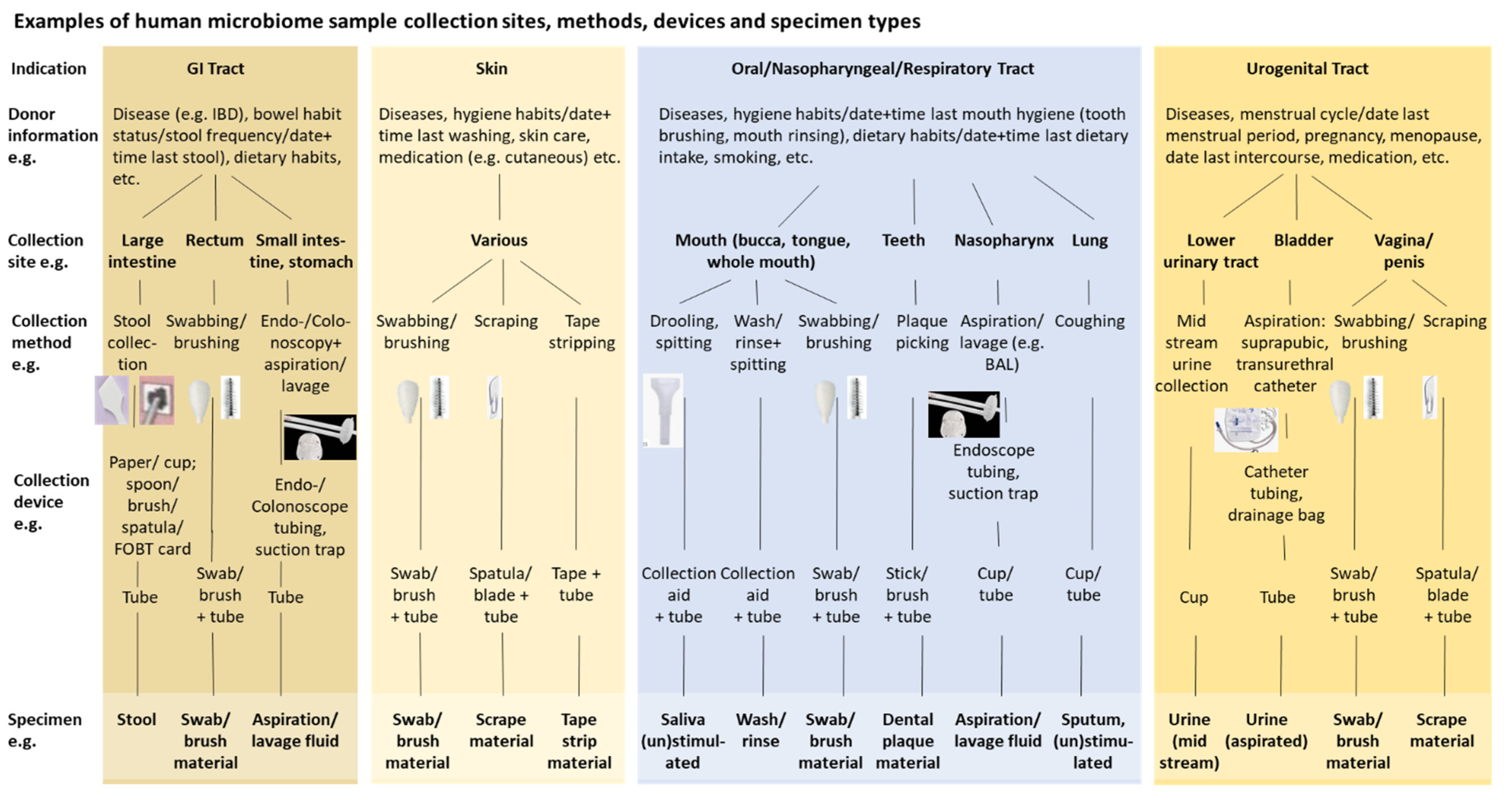 Nutrients 14 01976 g001 550