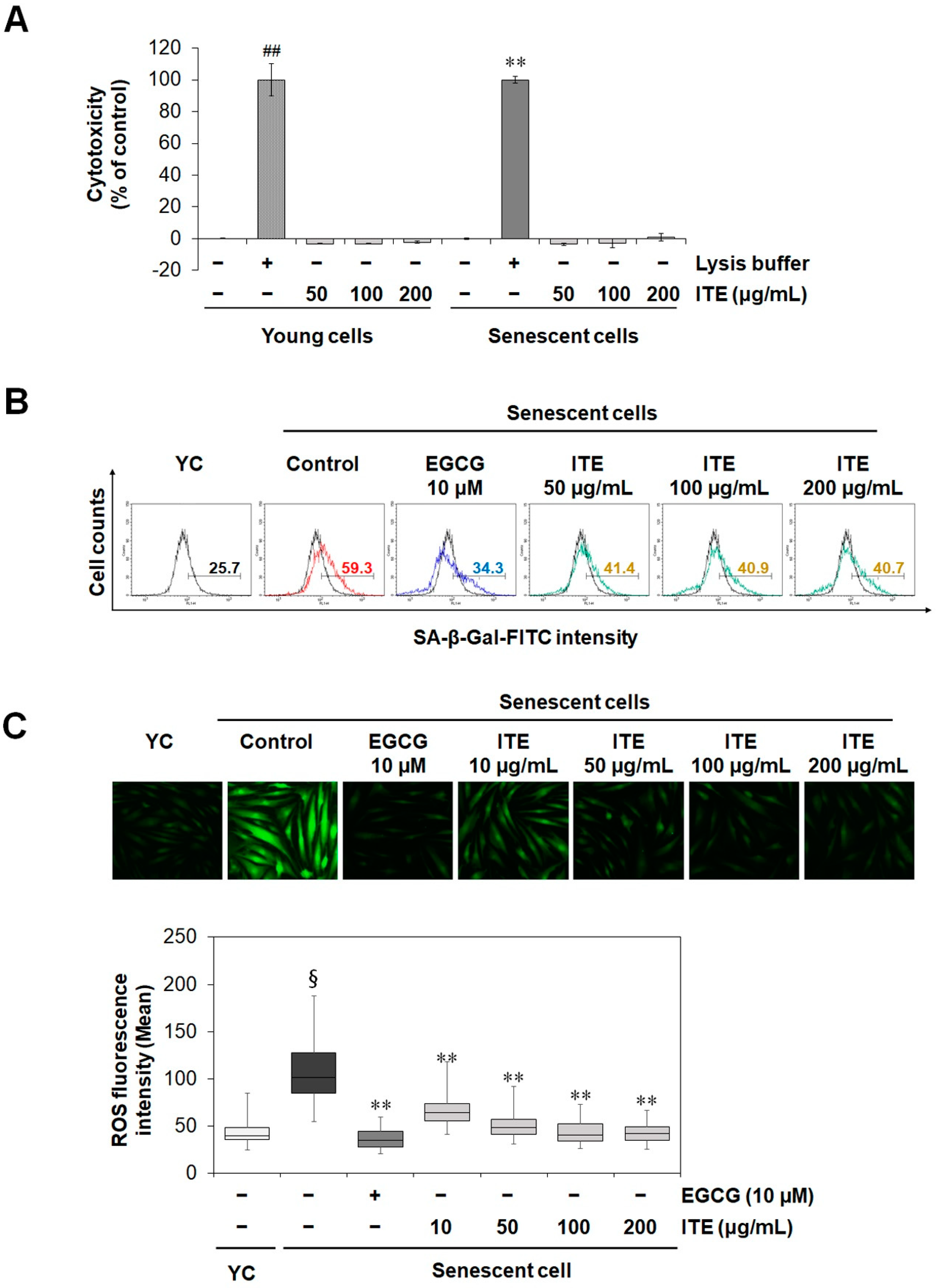Nutrients 14 01979 g001