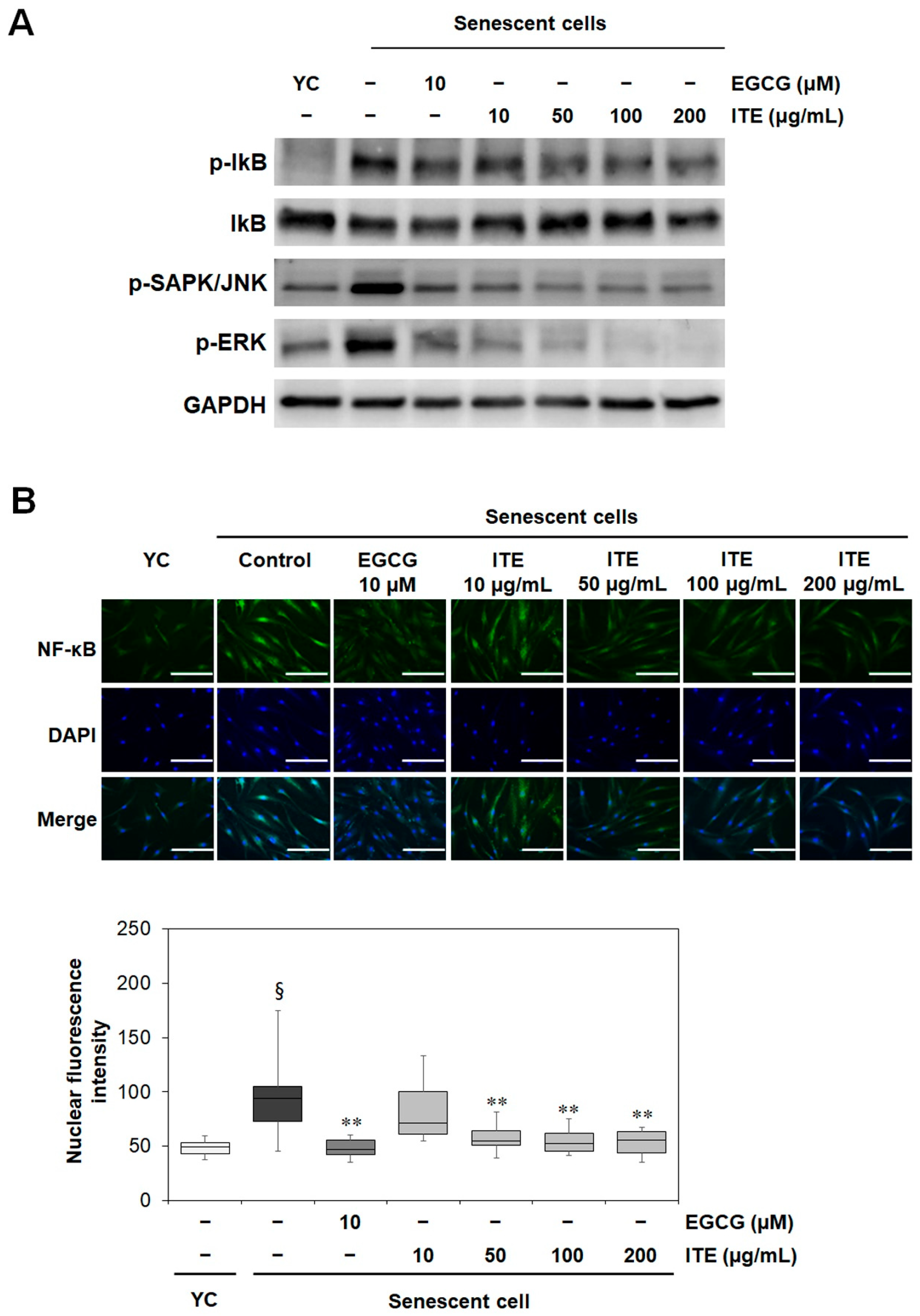 Nutrients 14 01979 g004