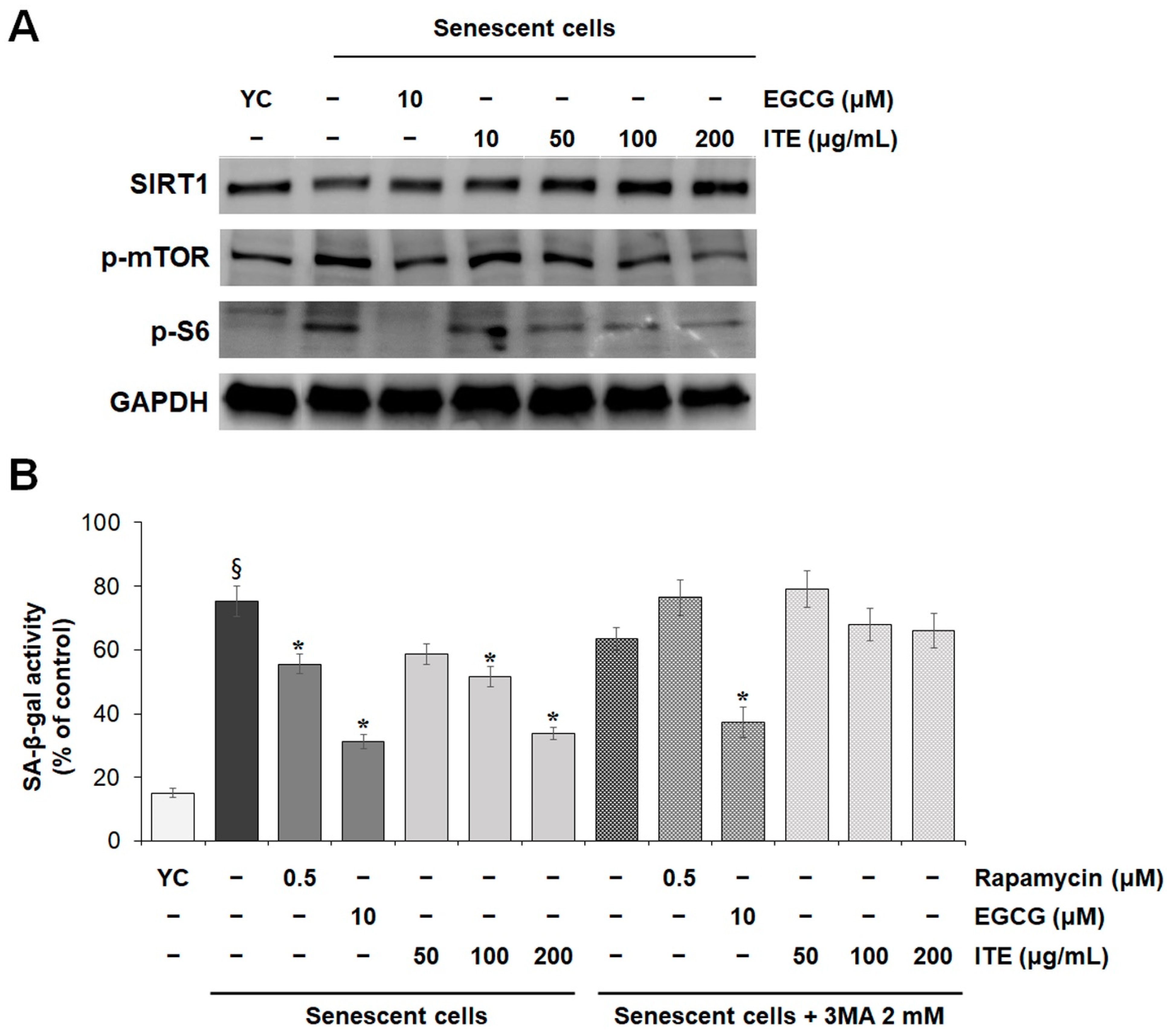 Nutrients 14 01979 g005