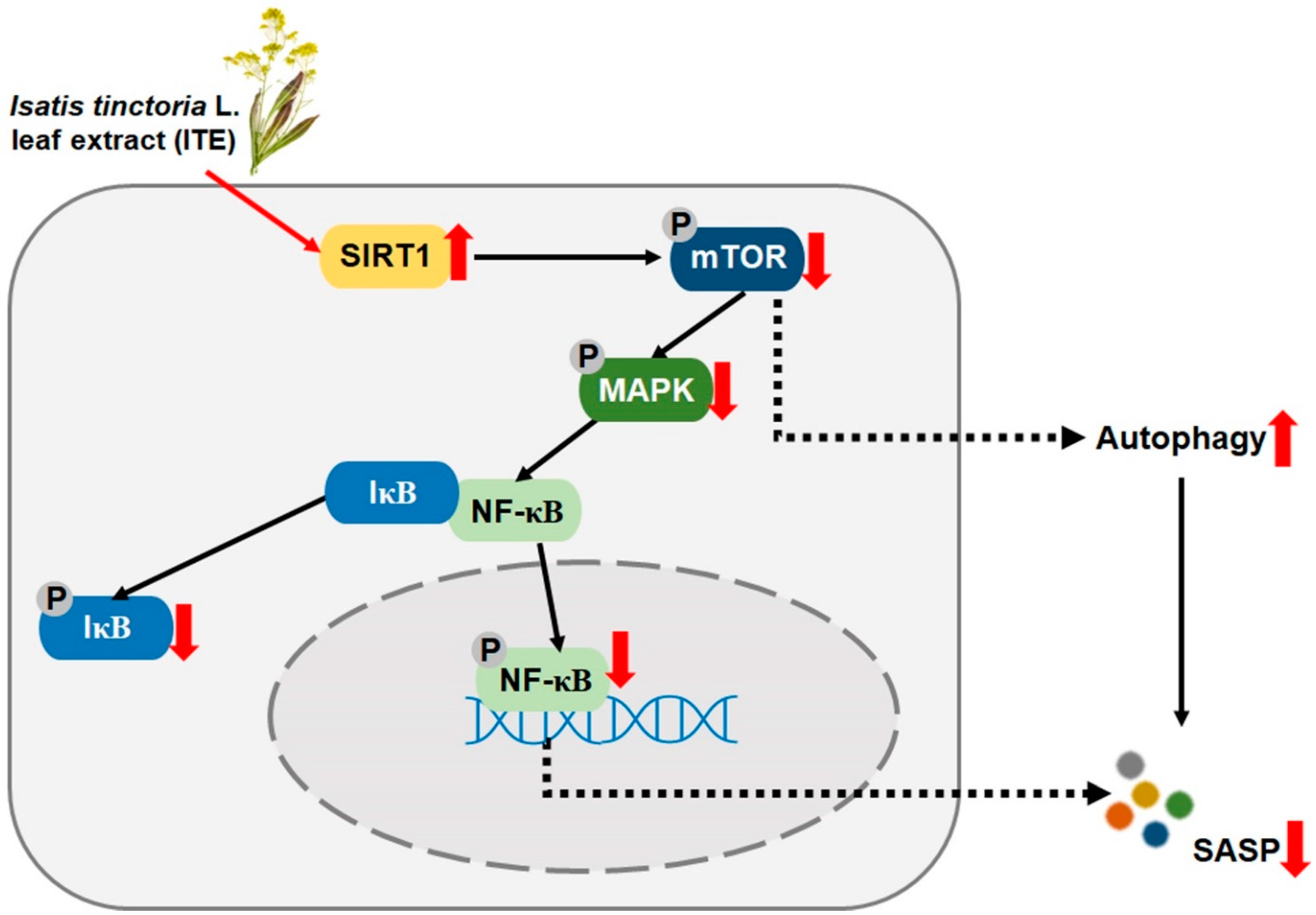 Nutrients 14 01979 g007