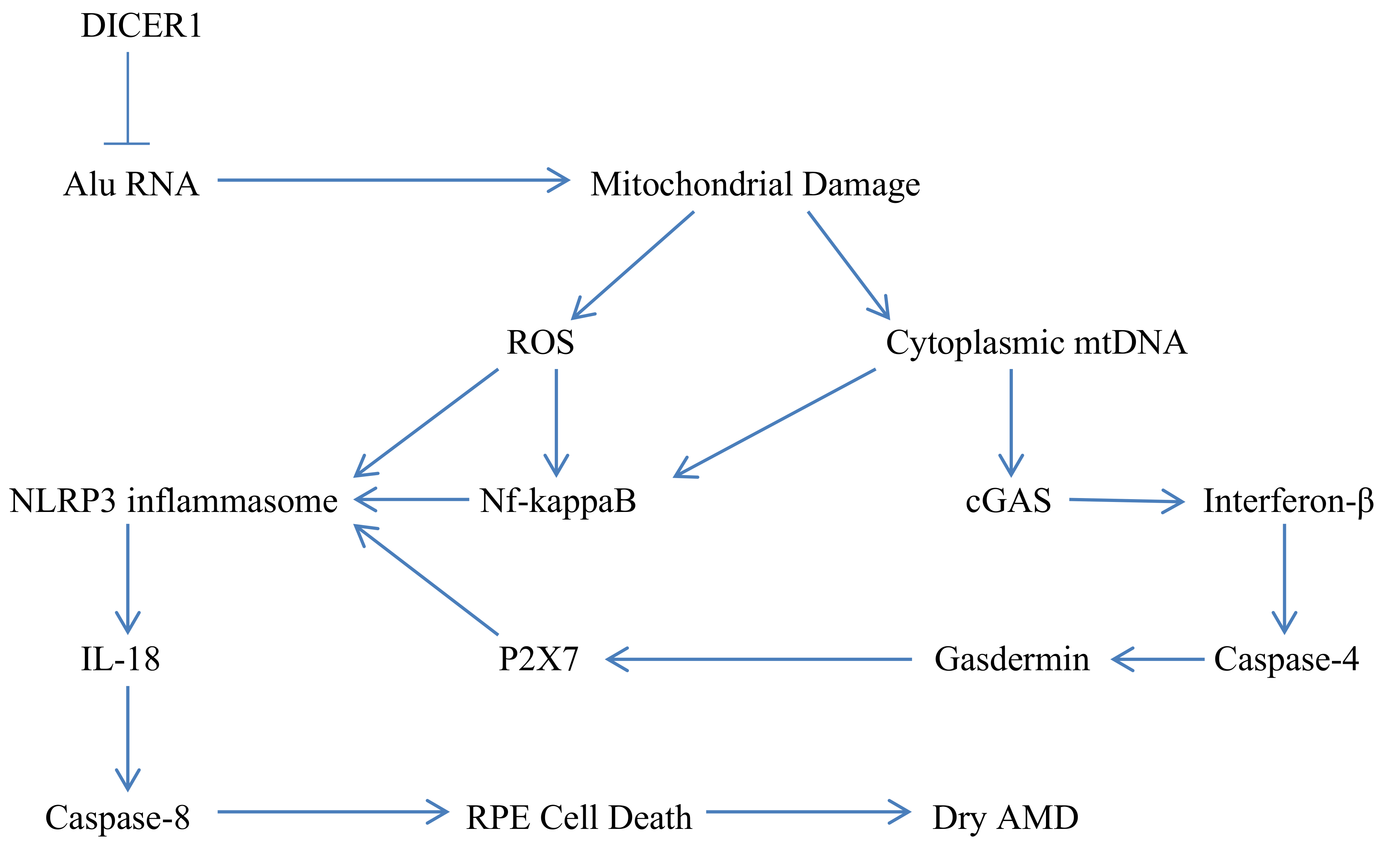 Nutrients 14 01985 g001