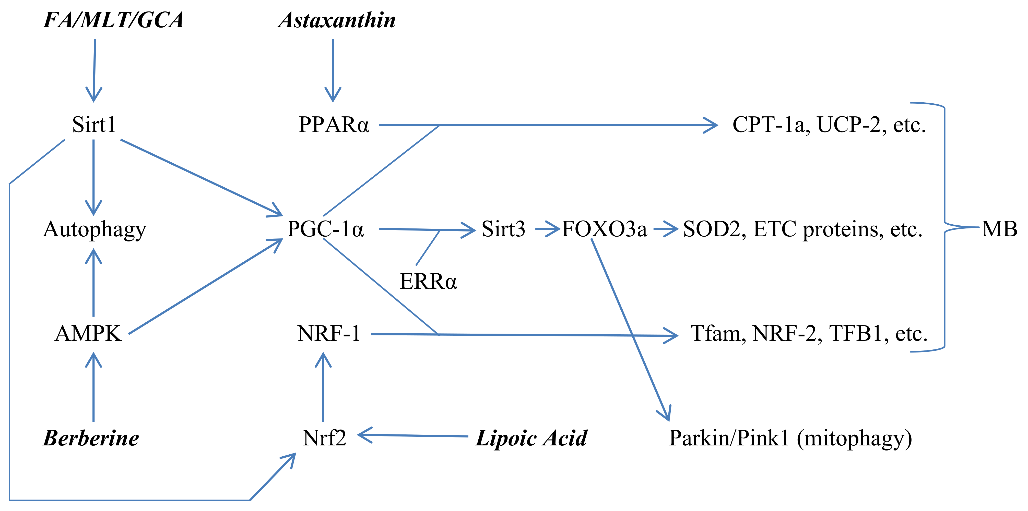 Nutrients 14 01985 g002