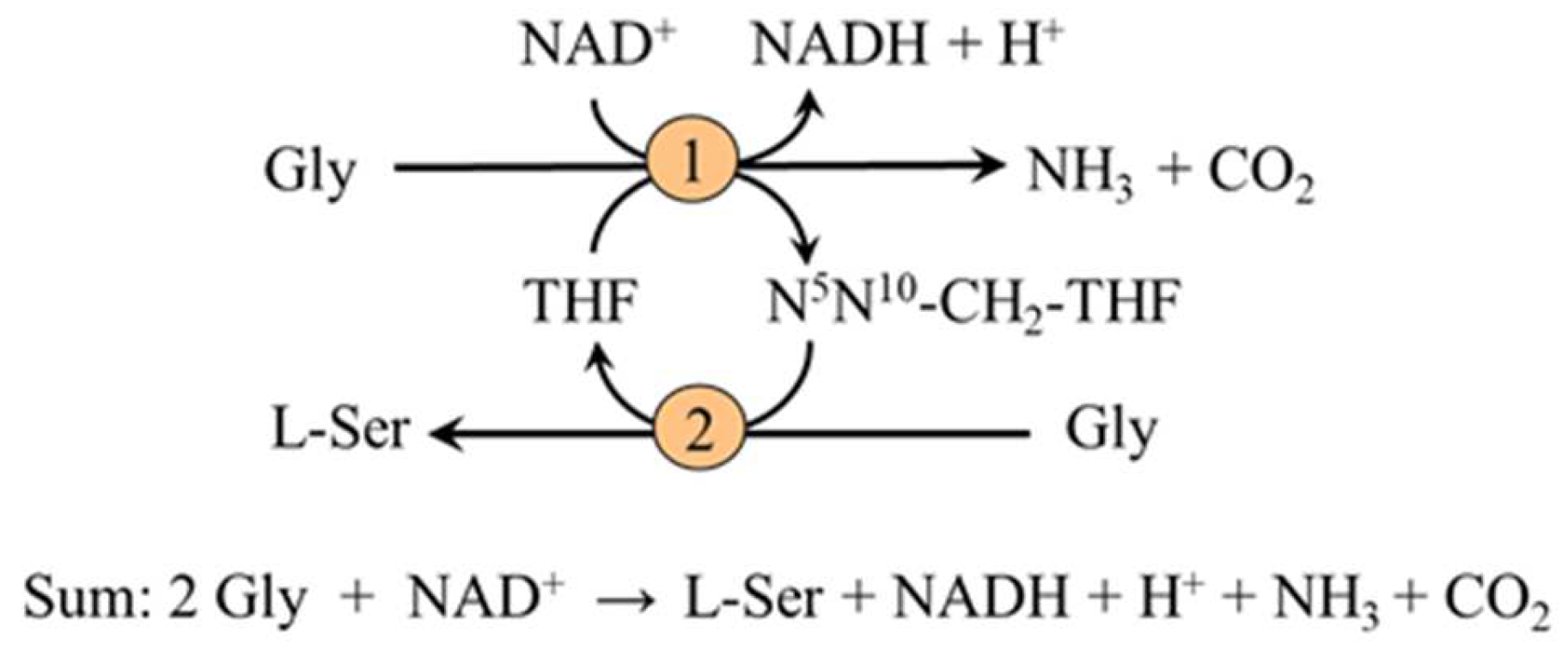 Nutrients 14 01987 g003 Nutrients 14 01987 g003