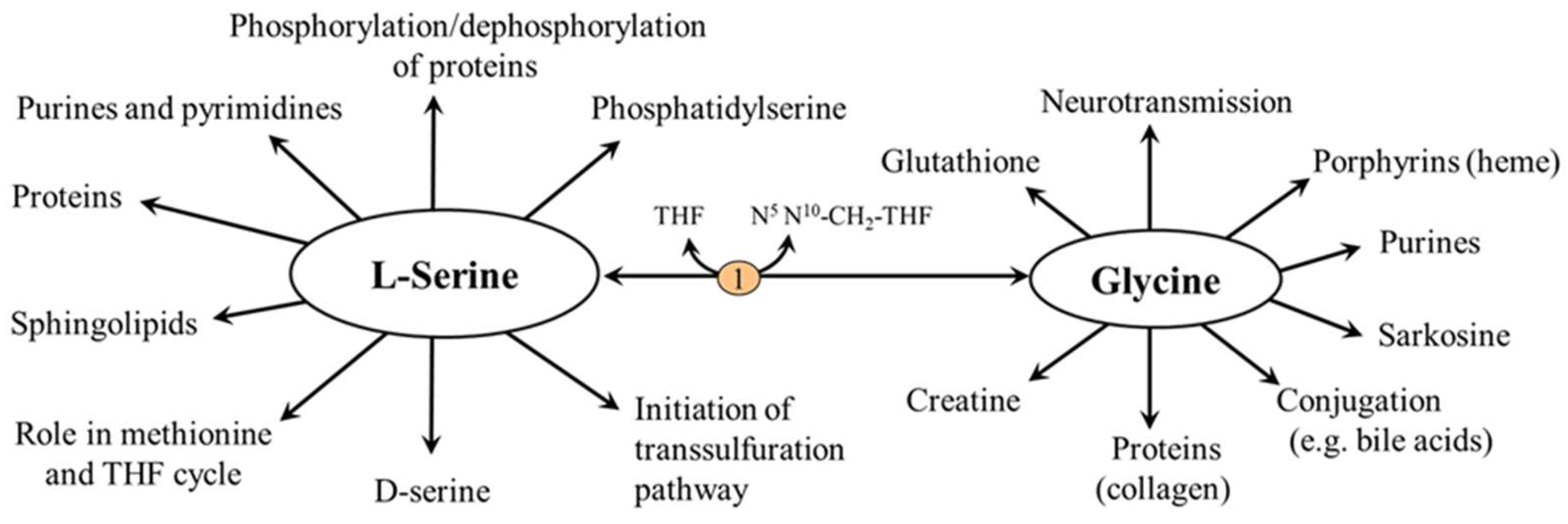 Nutrients 14 01987 g005 Nutrients 14 01987 g005