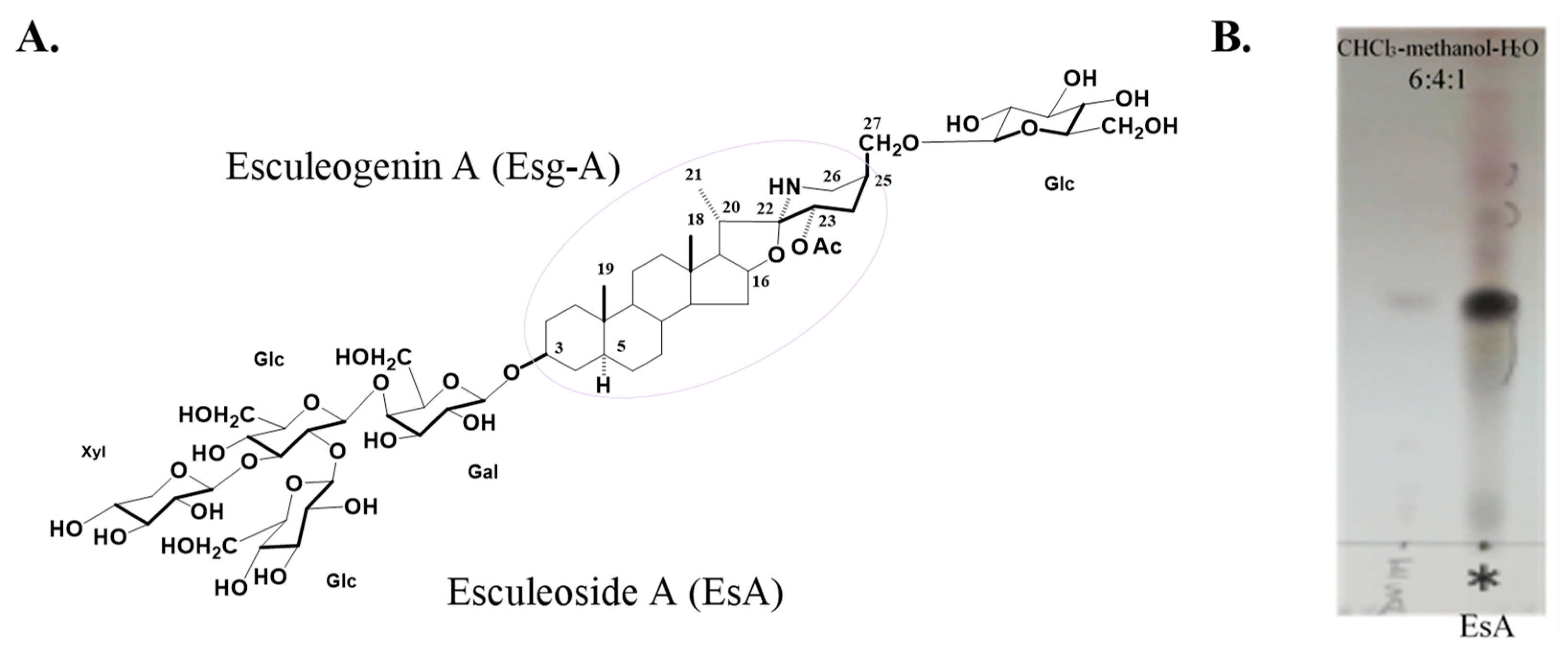 Nutrients 14 02021 g001