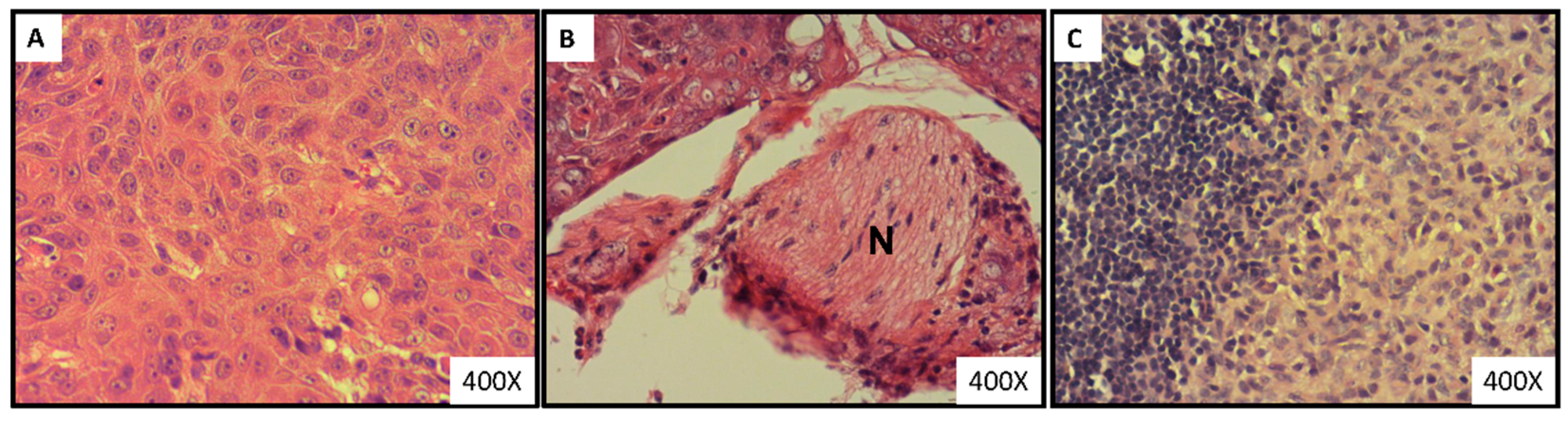 Nutrients 14 02023 g002