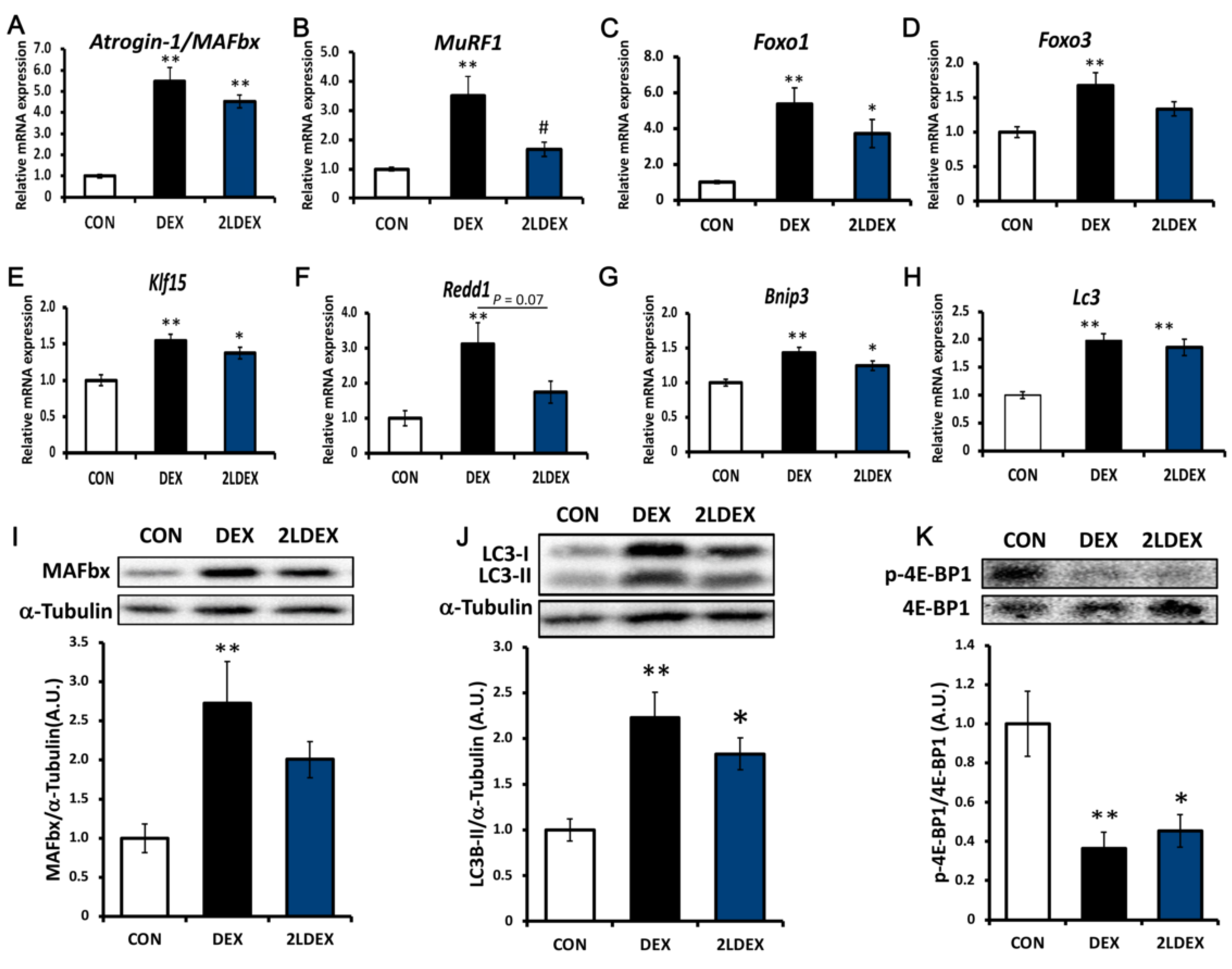 Nutrients 14 02029 g005 550