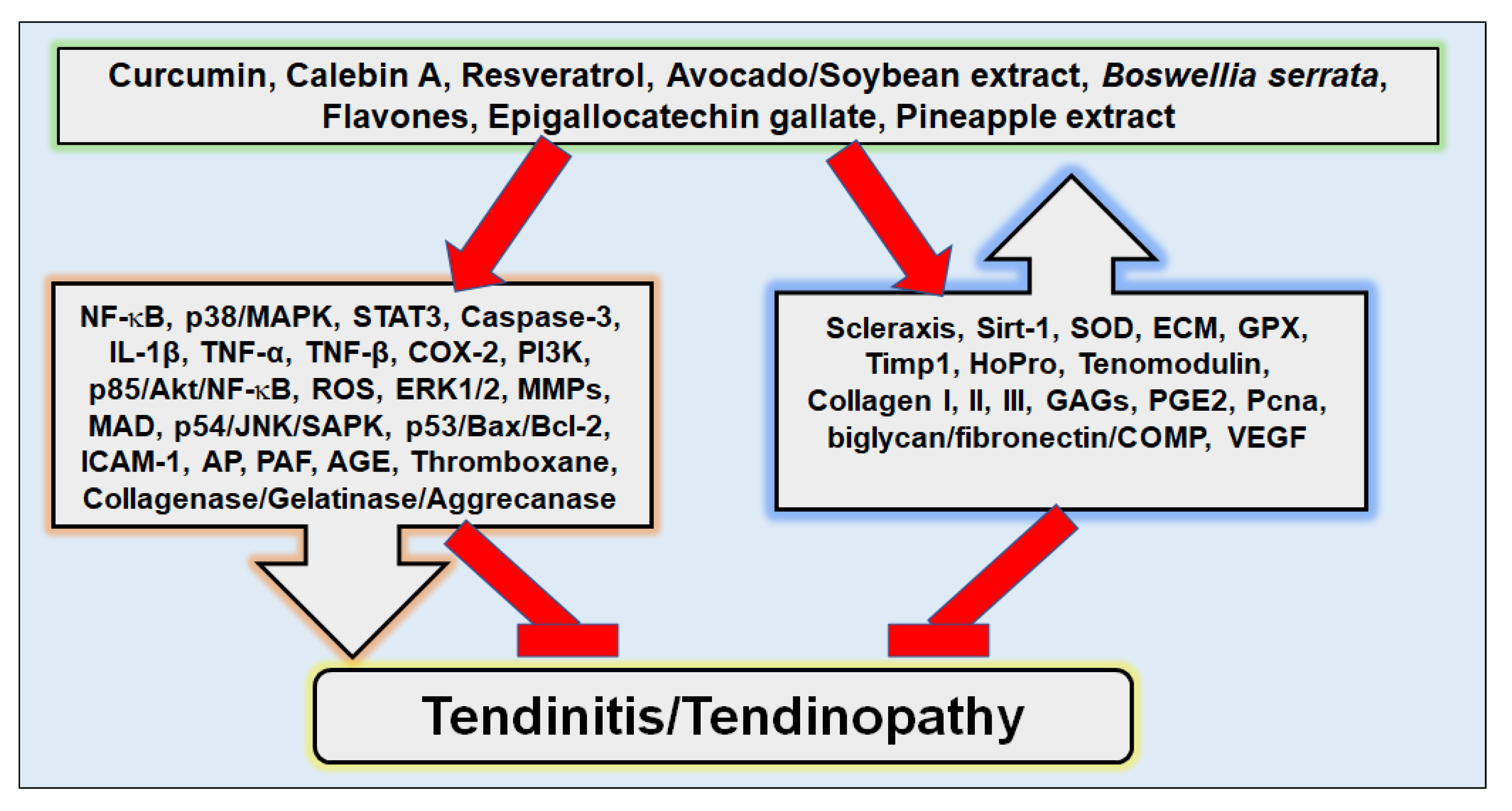 Nutrients 14 02030 g003 Nutrients 14 02030 g003