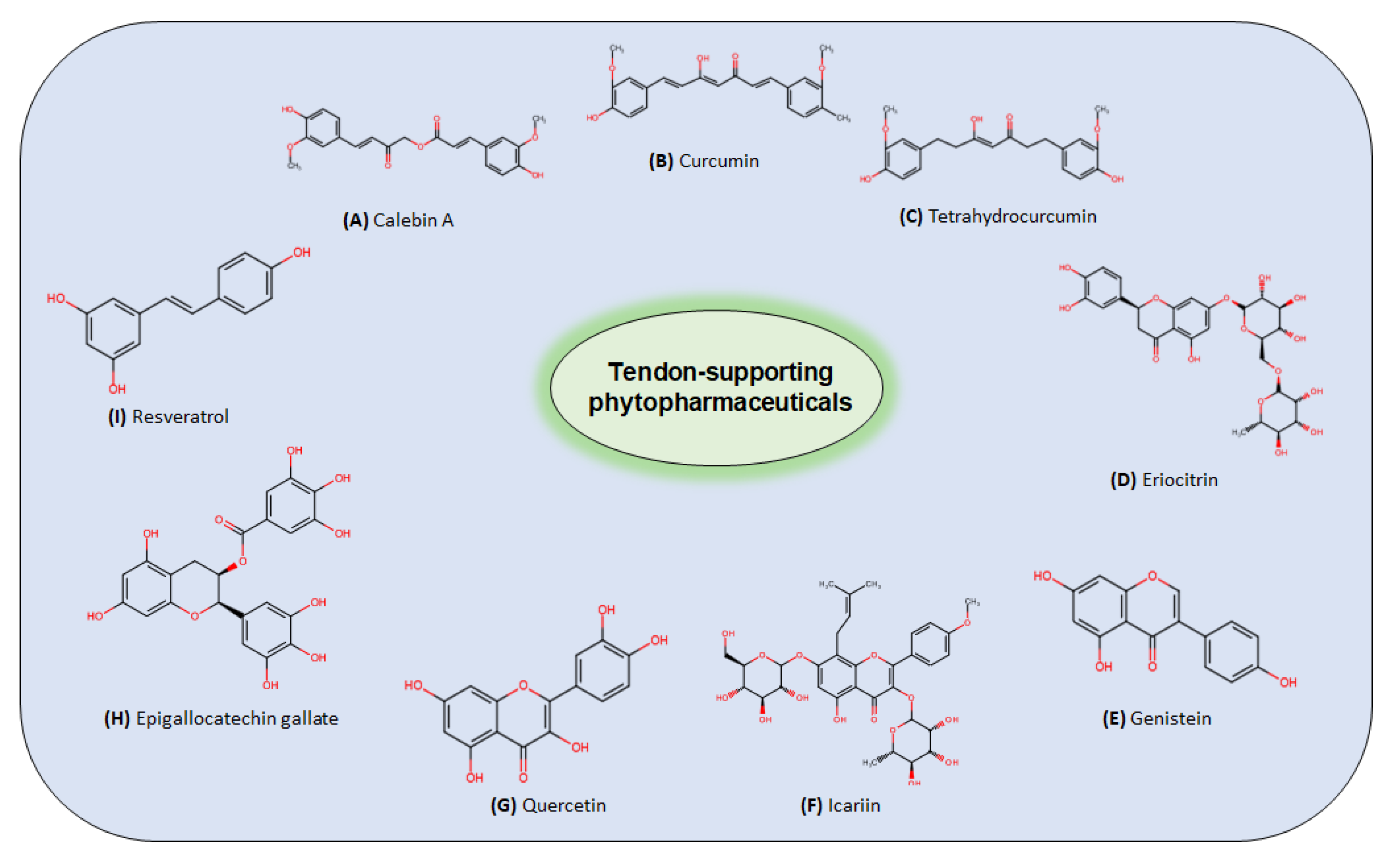 Nutrients 14 02030 g004 Nutrients 14 02030 g004