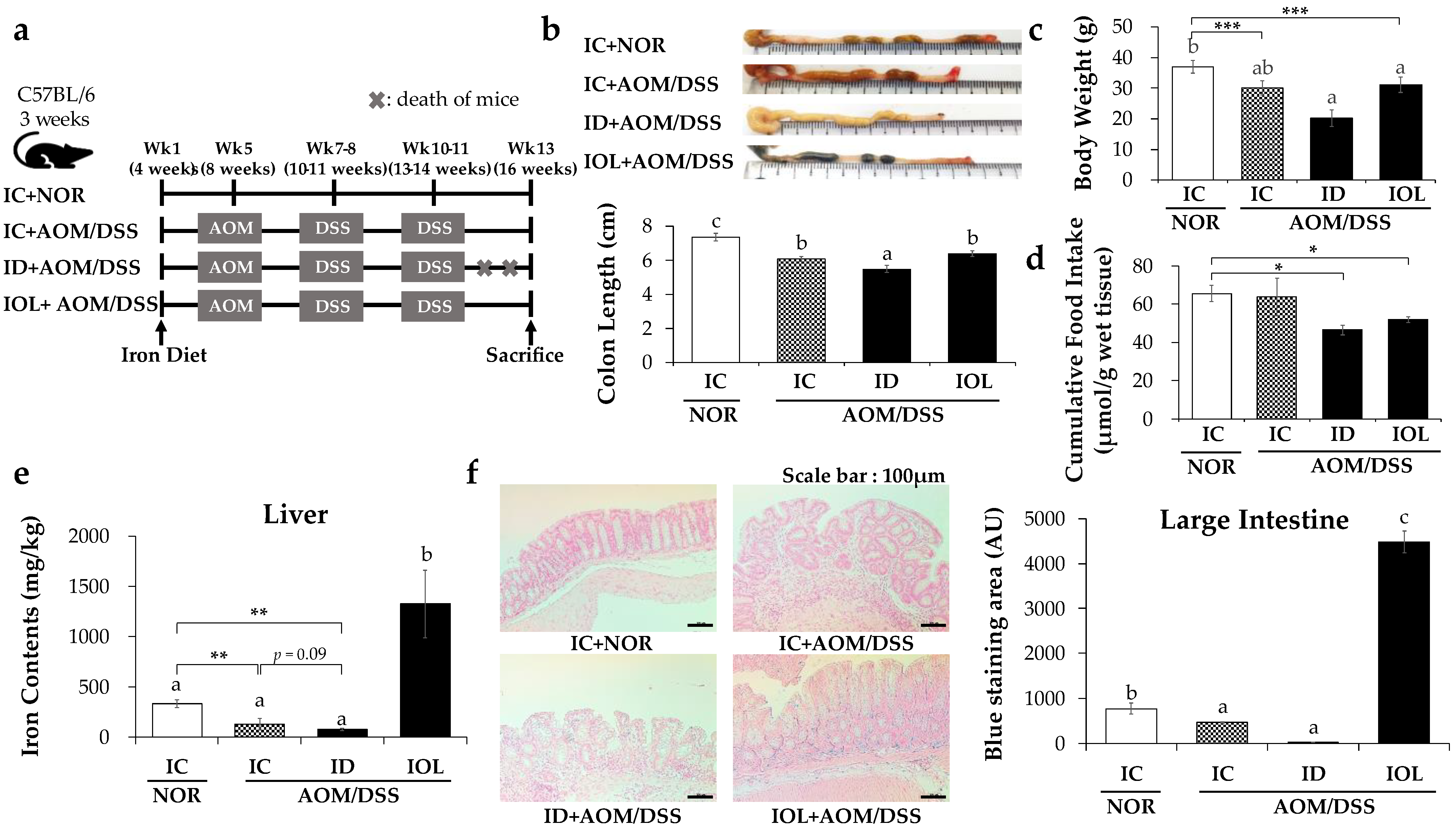 Nutrients 14 02033 g001 Nutrients 14 02033 g001
