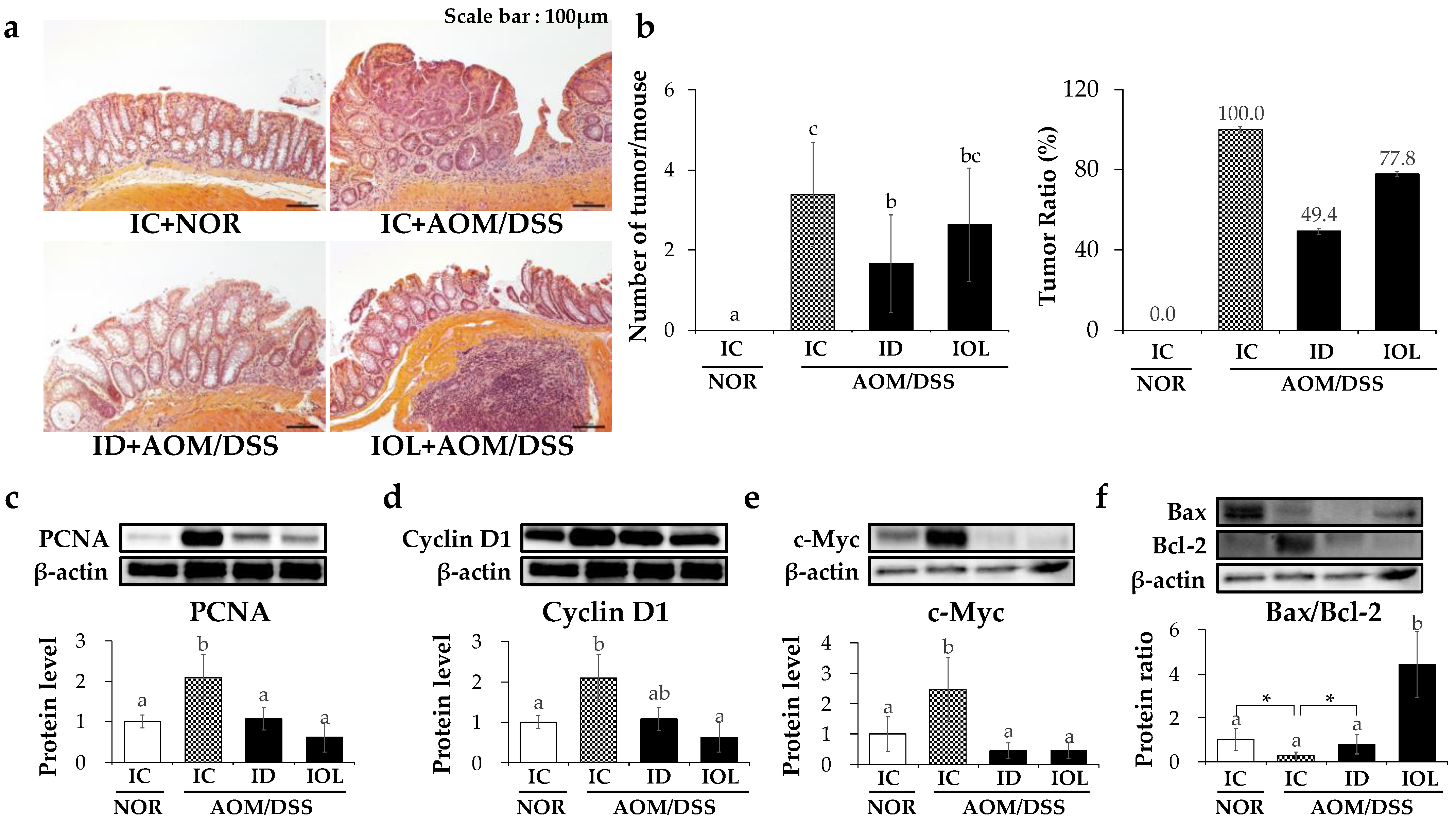 Nutrients 14 02033 g003 Nutrients 14 02033 g003