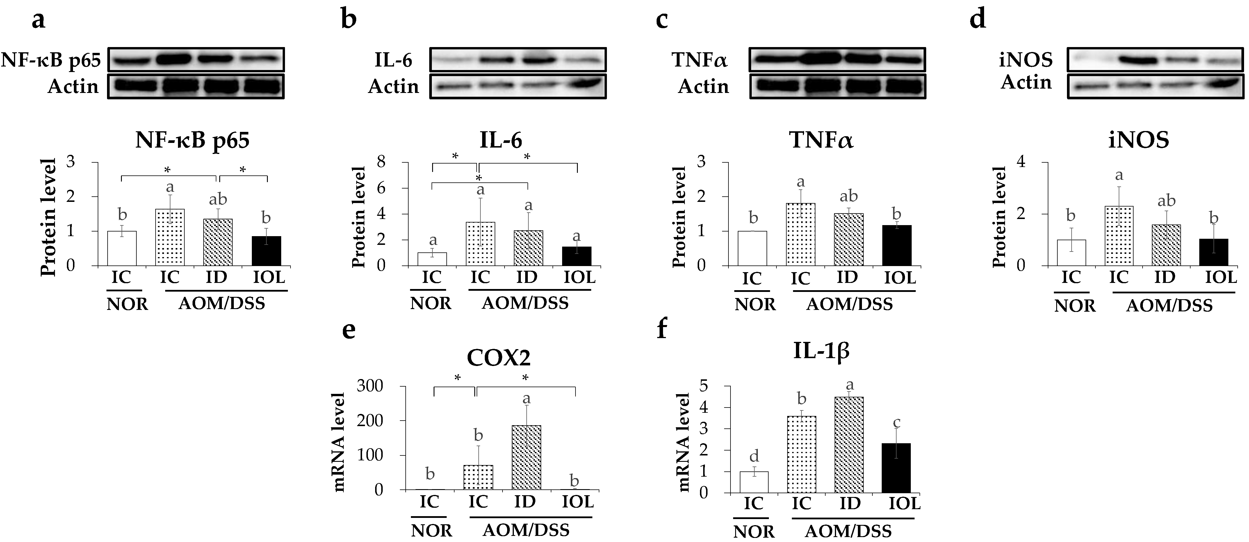 Nutrients 14 02033 g004 Nutrients 14 02033 g004