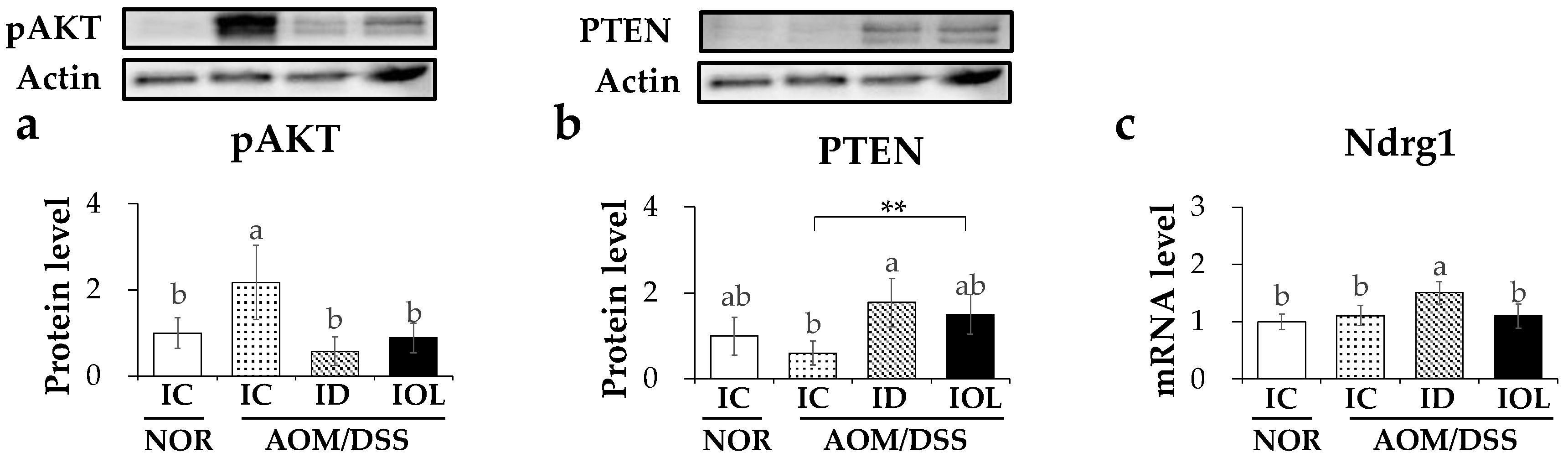 Nutrients 14 02033 g006 Nutrients 14 02033 g006
