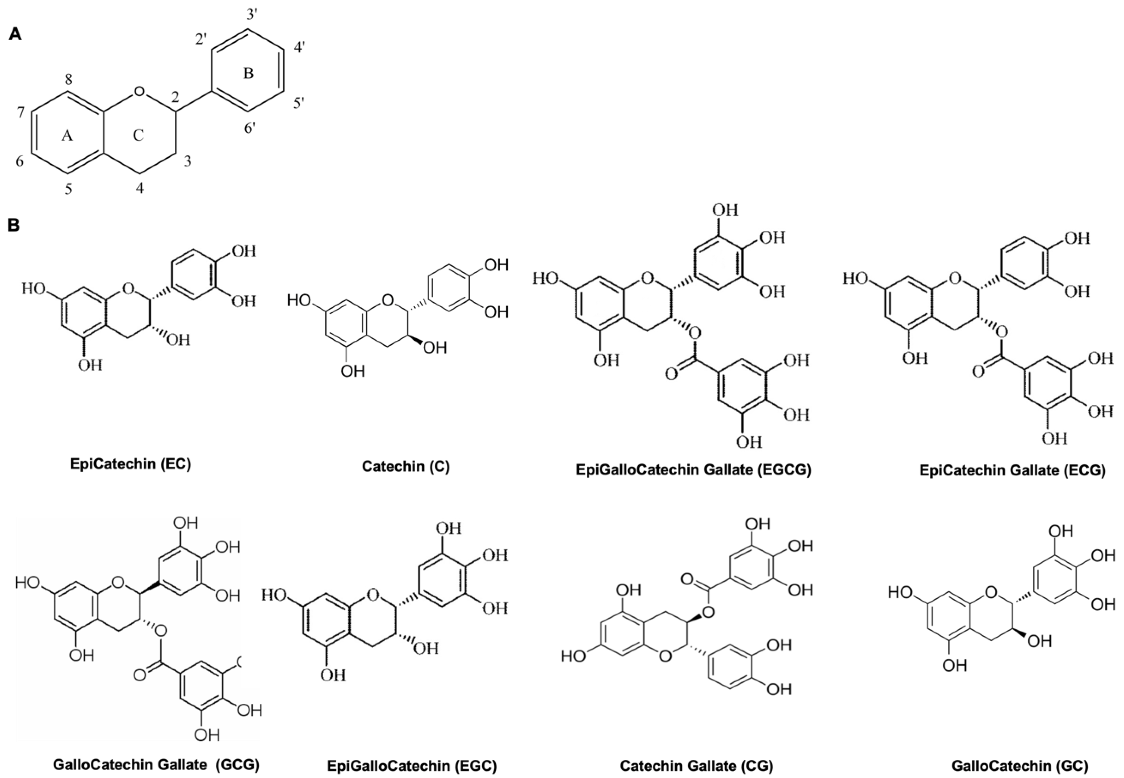 Nutrients 14 02039 g001