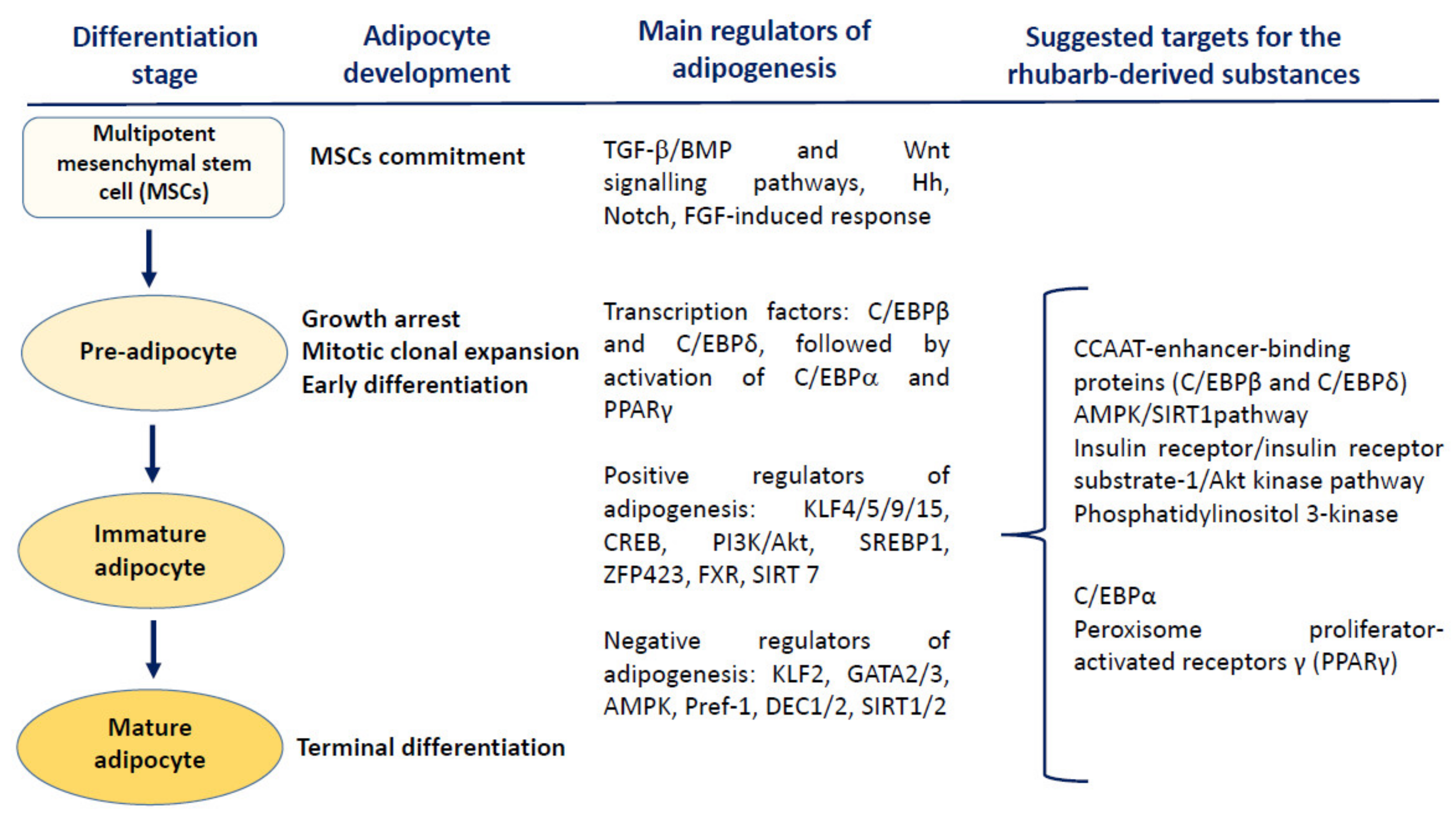 Nutrients 14 02053 g003 Nutrients 14 02053 g003