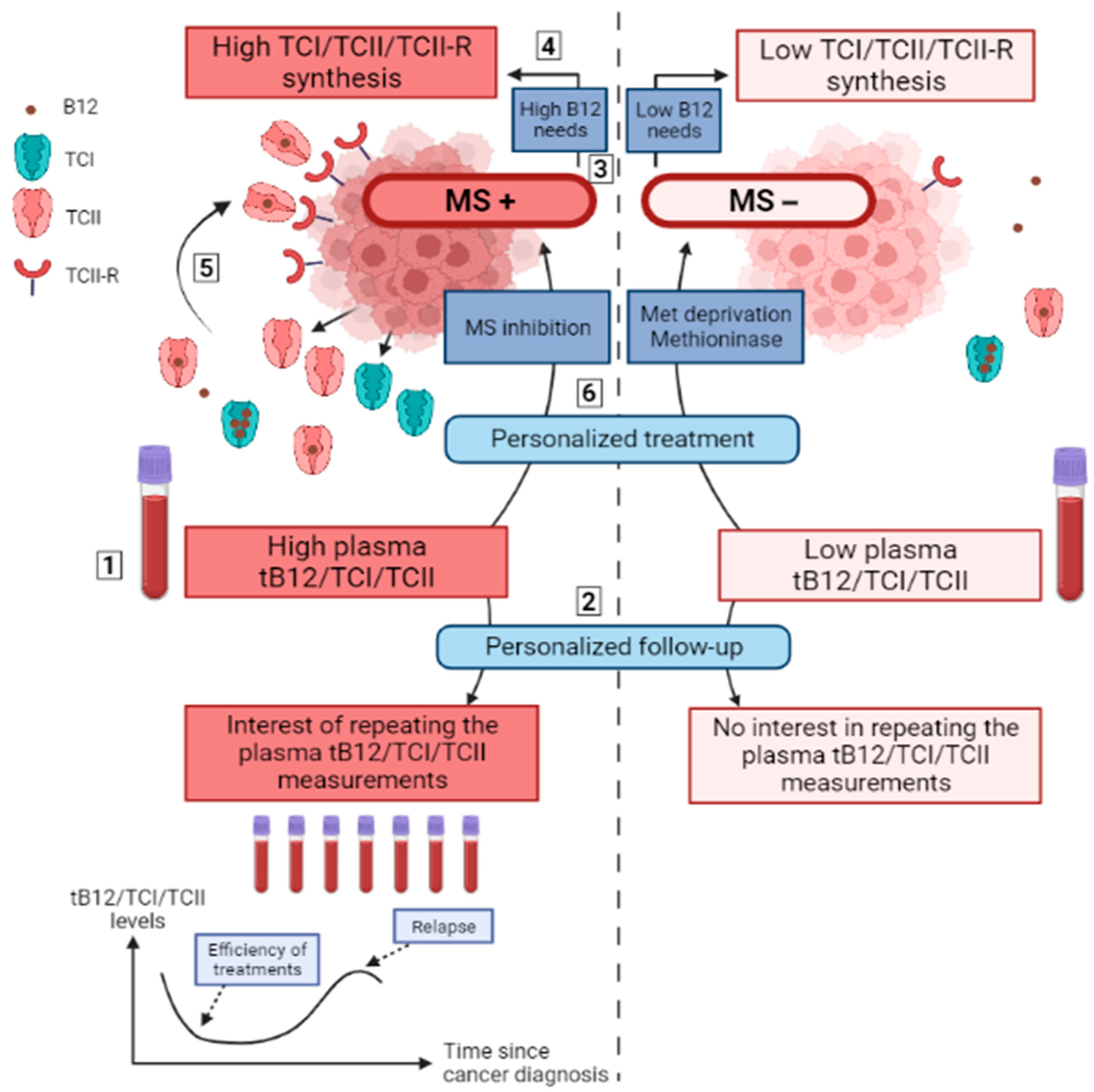 Nutrients 14 02058 g004 Nutrients 14 02058 g004