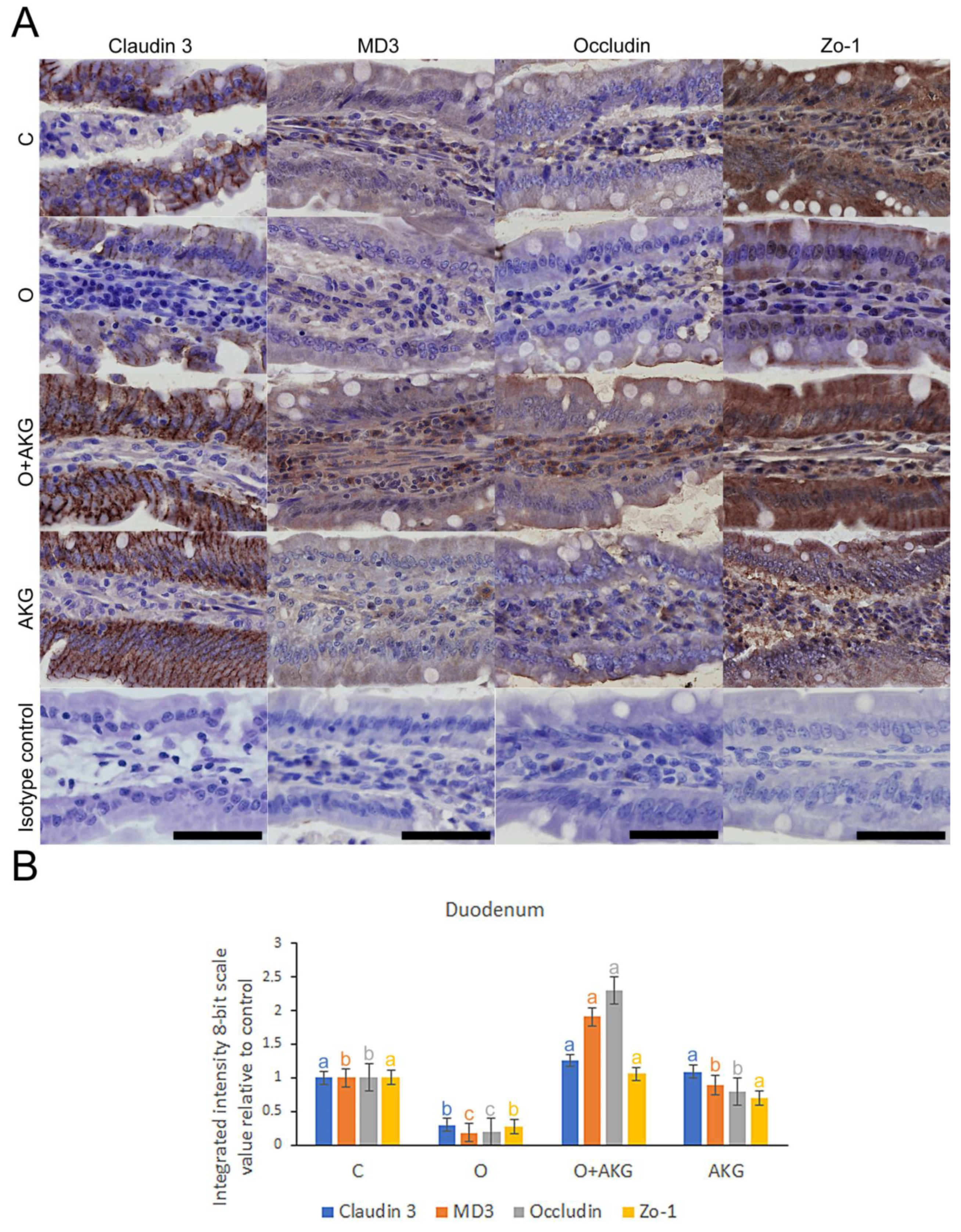 Nutrients 14 02062 g003