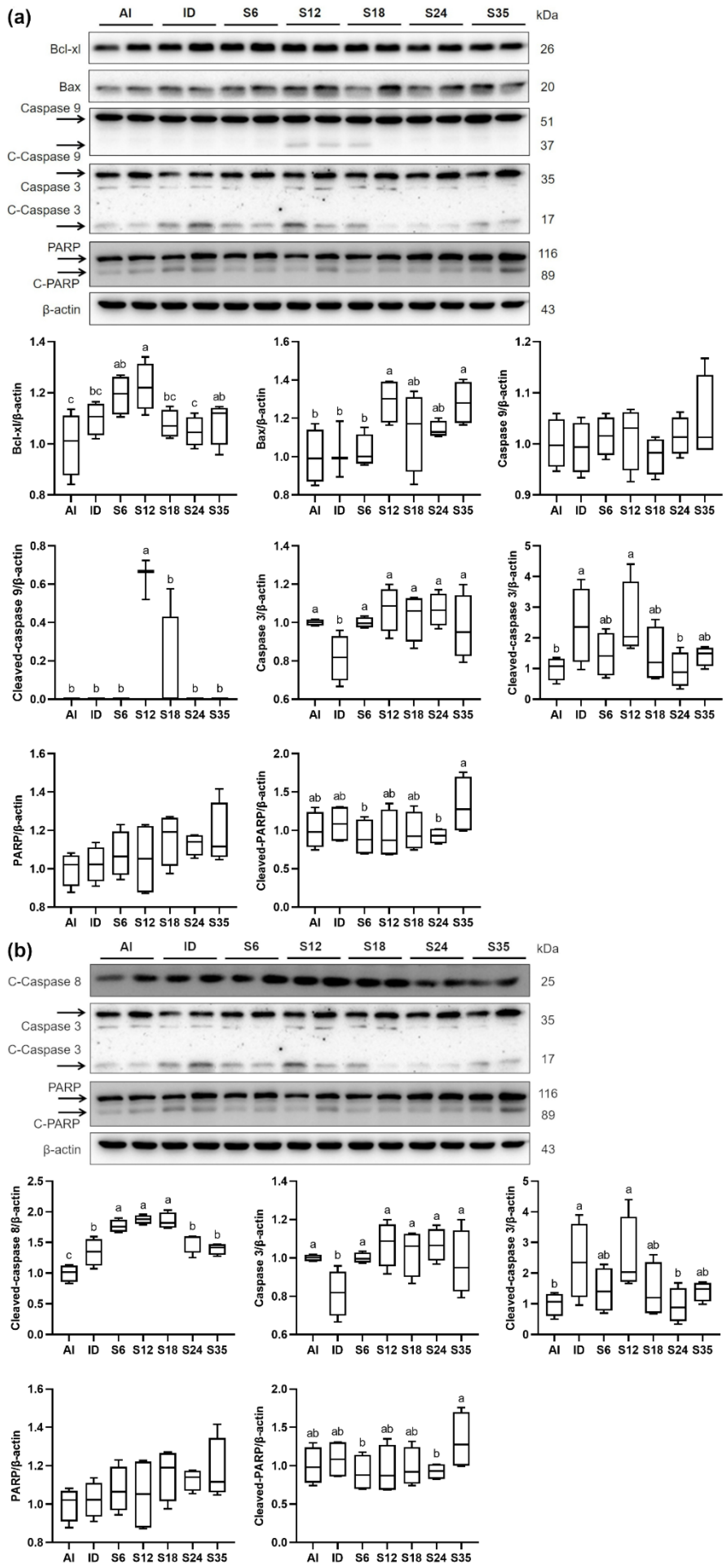 Nutrients 14 02063 g011