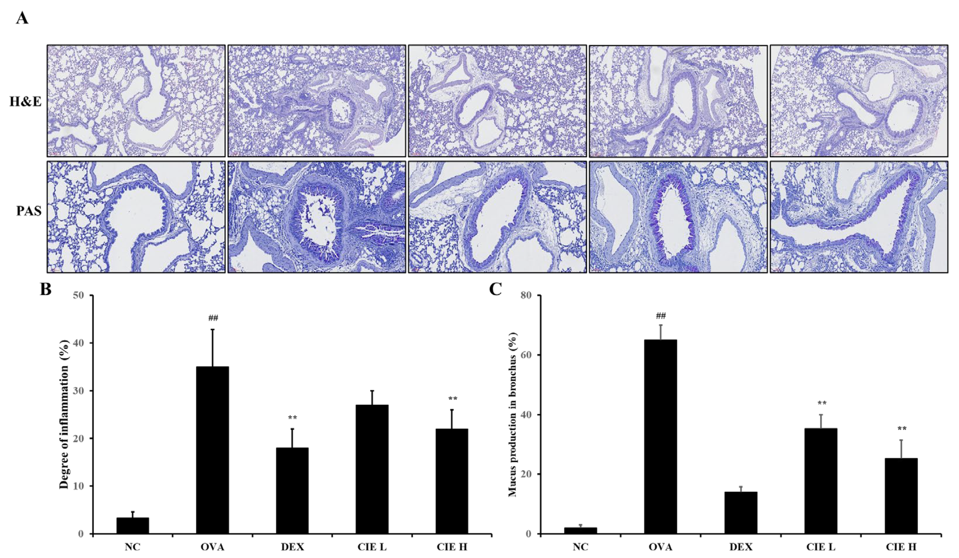 Nutrients 14 02067 g006 Nutrients 14 02067 g006